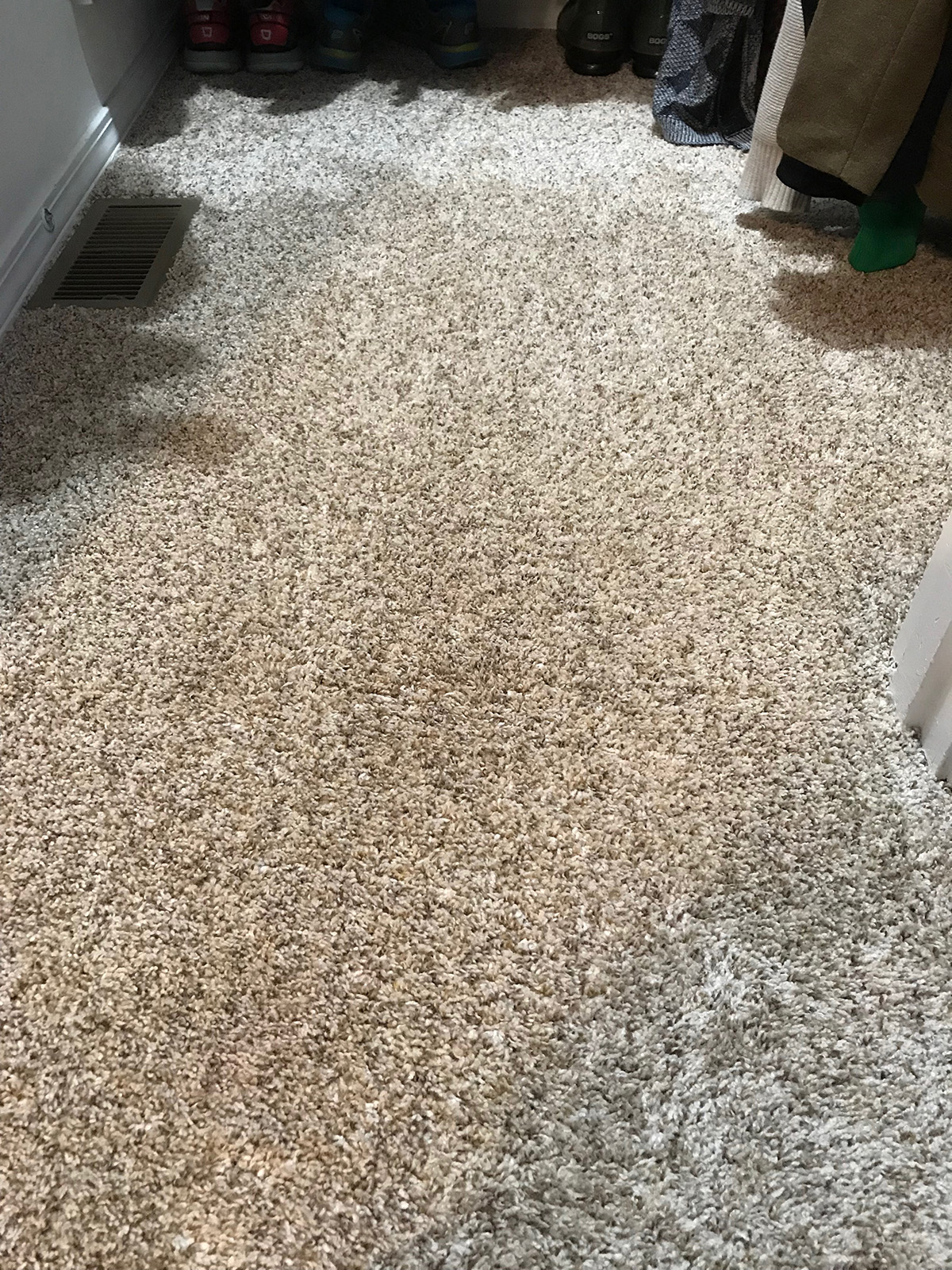 Carpet After Heaven's Best Carpet Cleaning