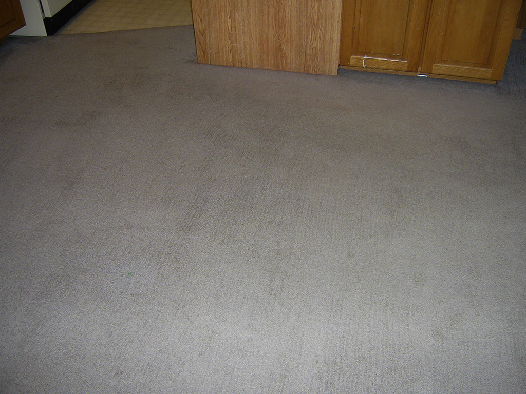 Carpet Cleaning Before & After - Greater Anchorage, AK