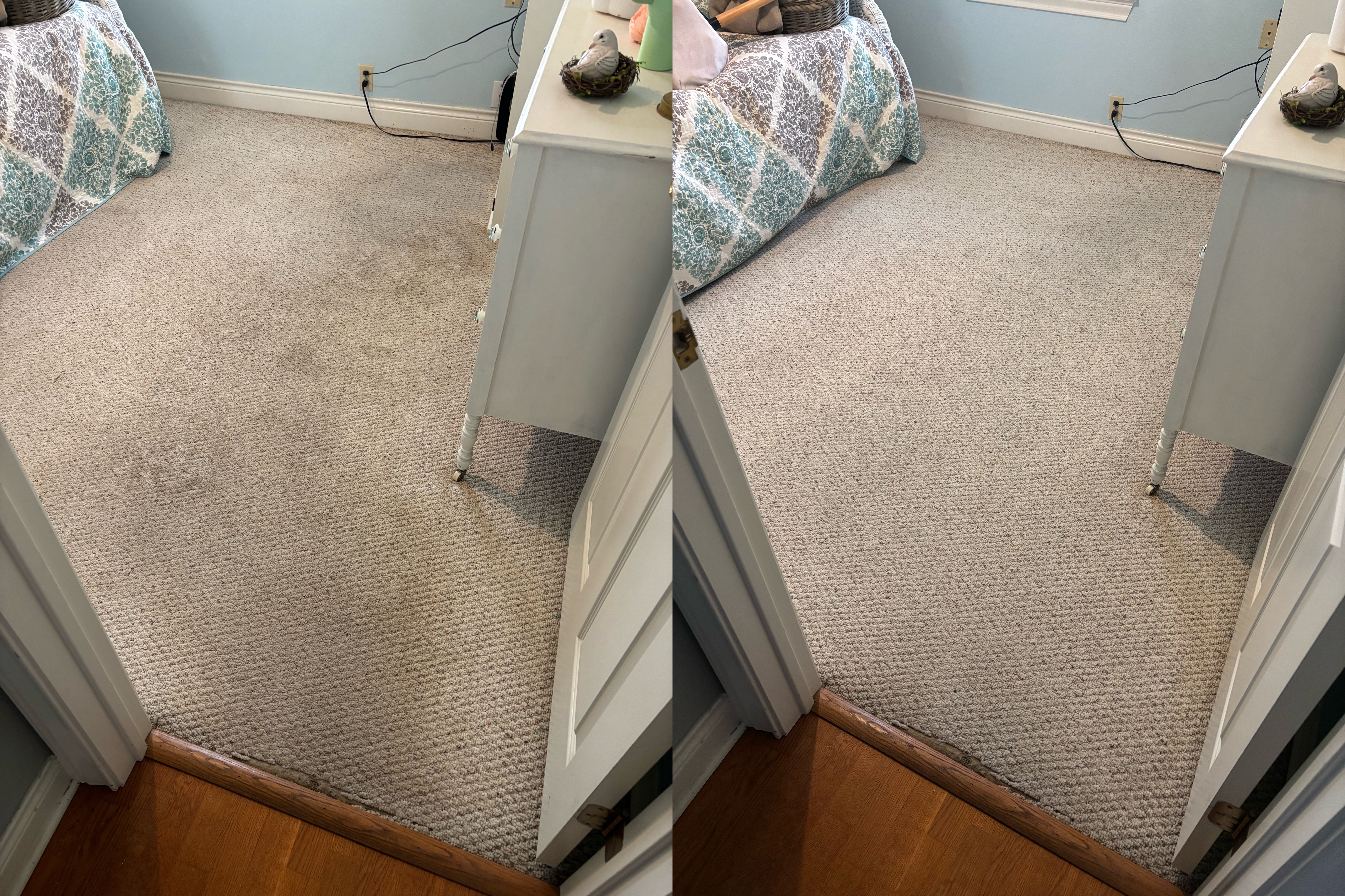 🏠🫧 Fresh Start for Old Carpet in Austin!