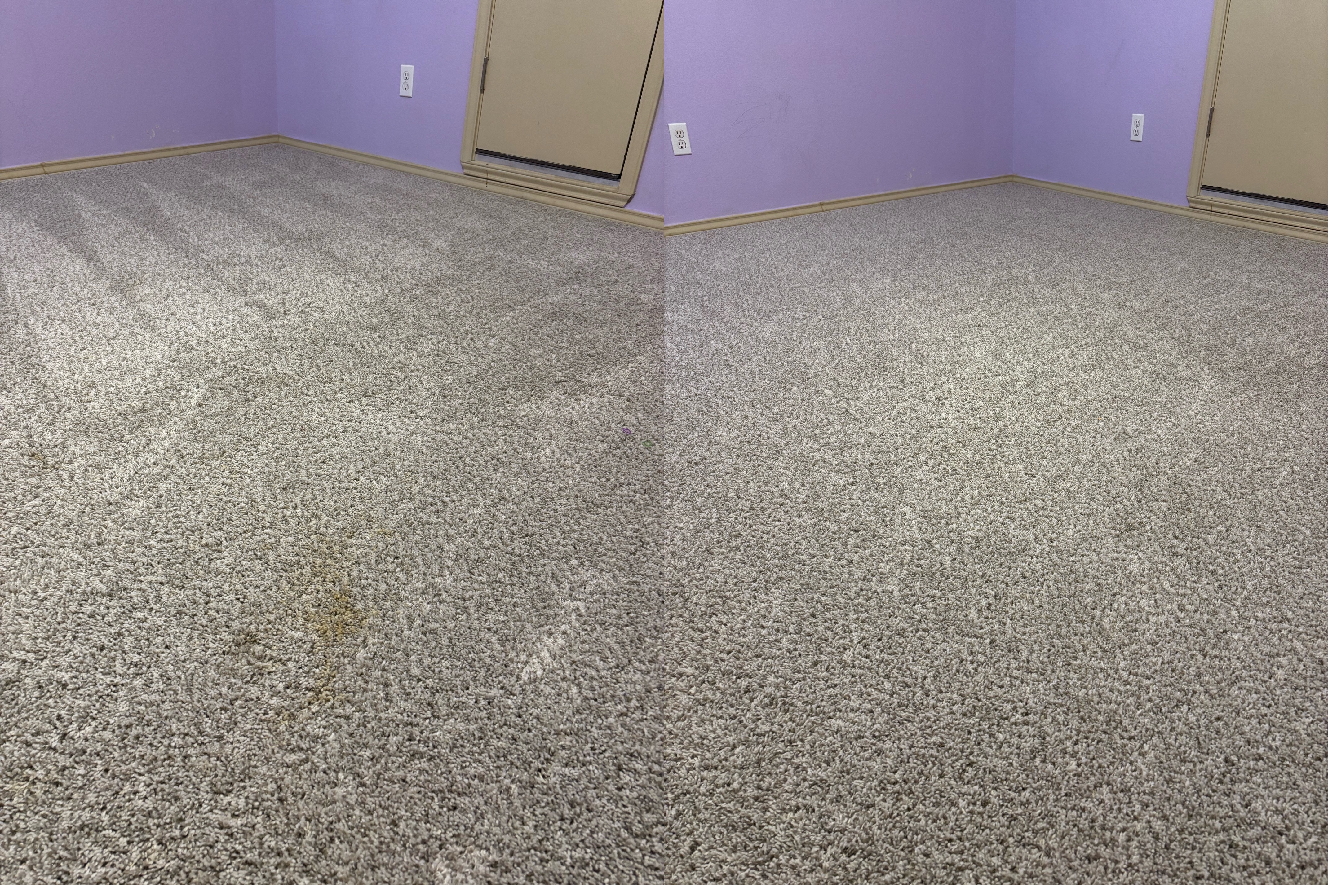 🏡🐾 Carpet Cleaning to Prepare This Austin Home for Sale!