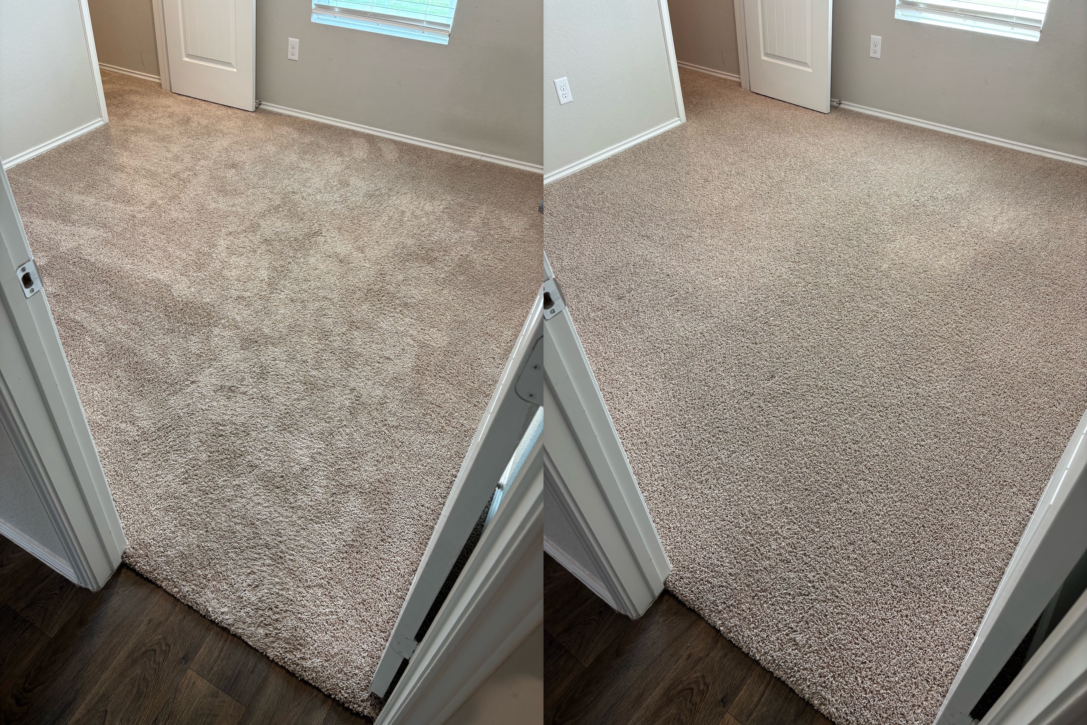🐾 Pet Stain & Odor Removal at an Austin Rental Property | Heaven's Best