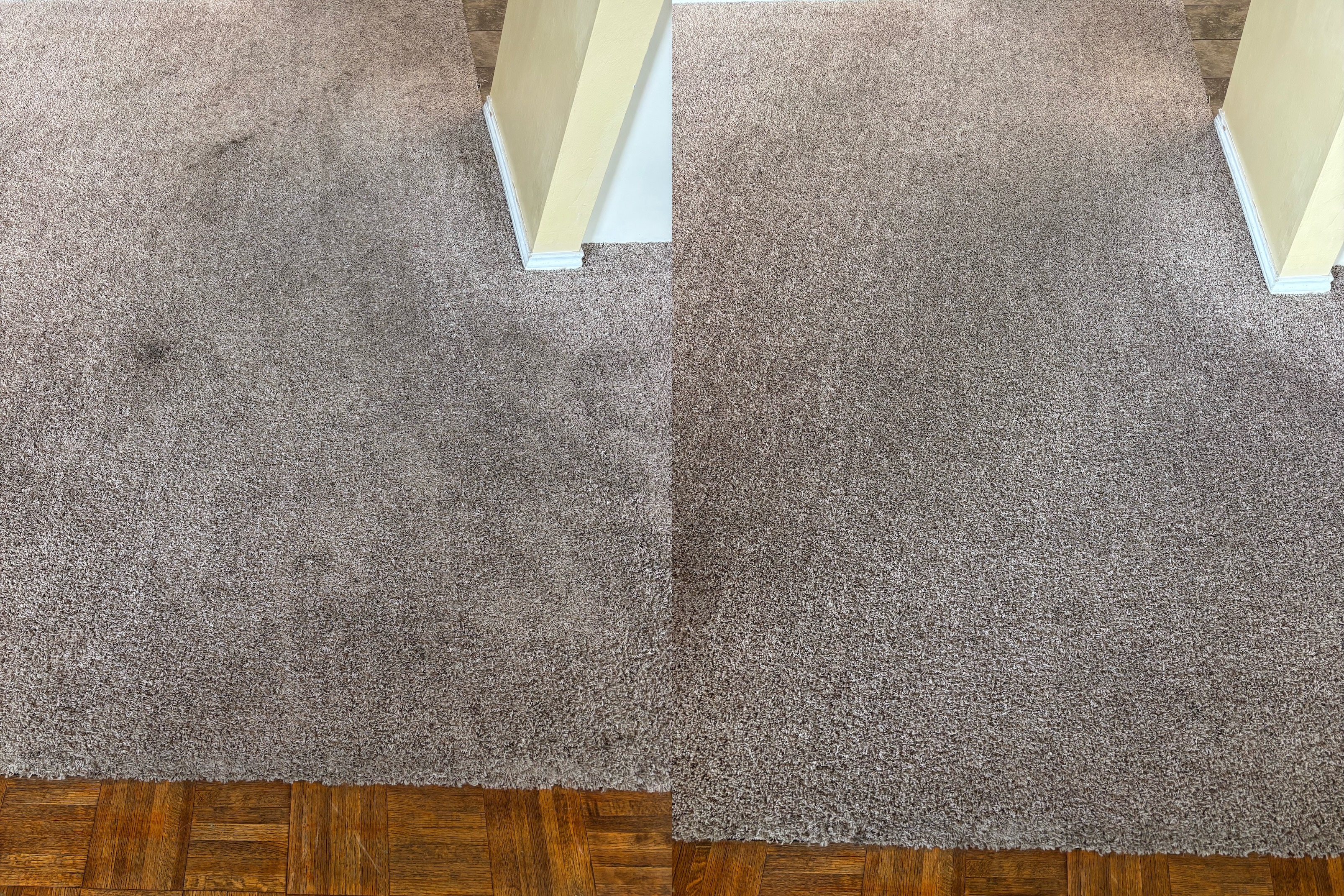 🤘 Move-Out Carpet Cleaning for UT Austin Students | Heaven's Best