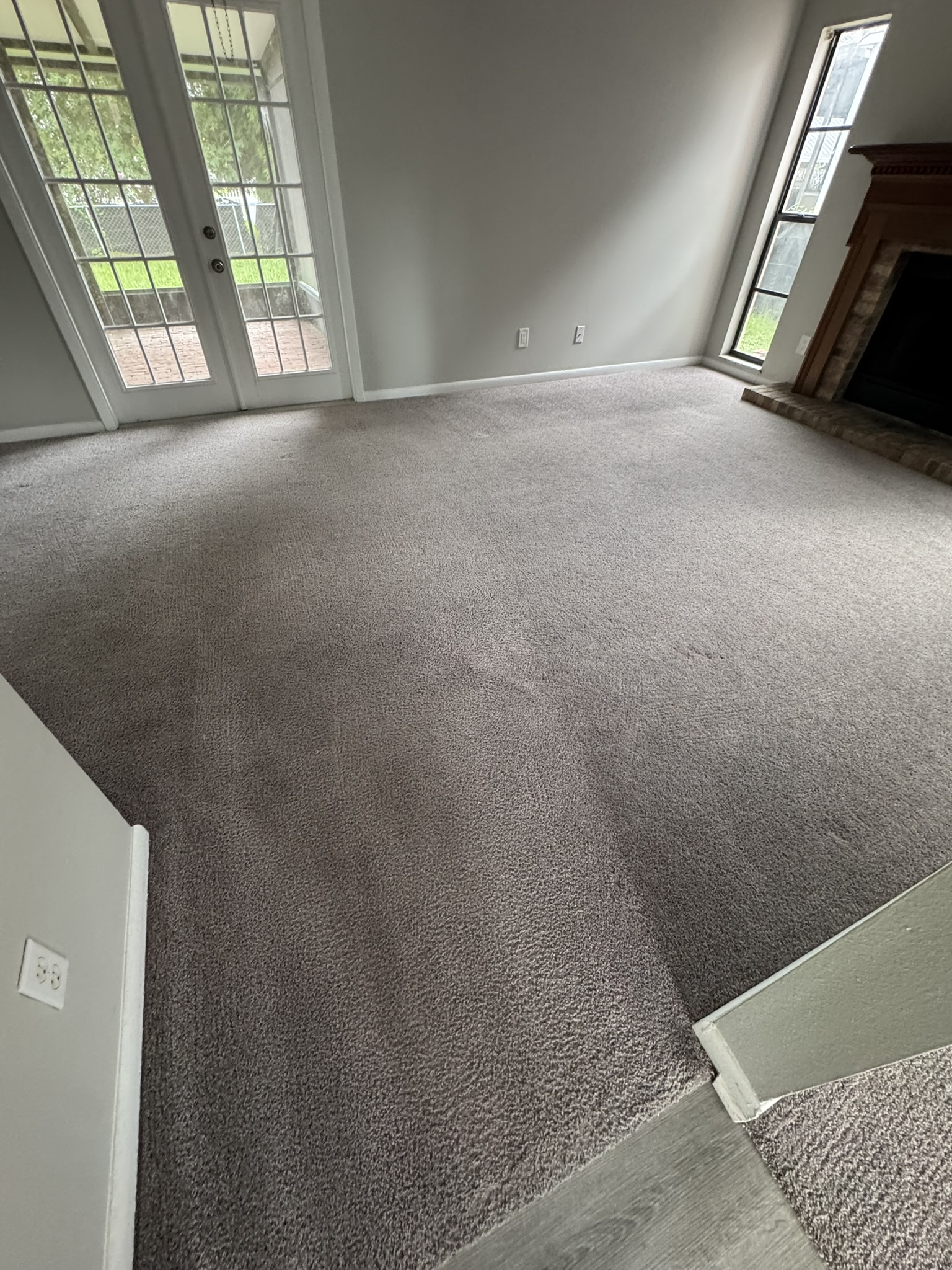 Think Your Carpets Are Clean? Look Deeper! 🔍✨