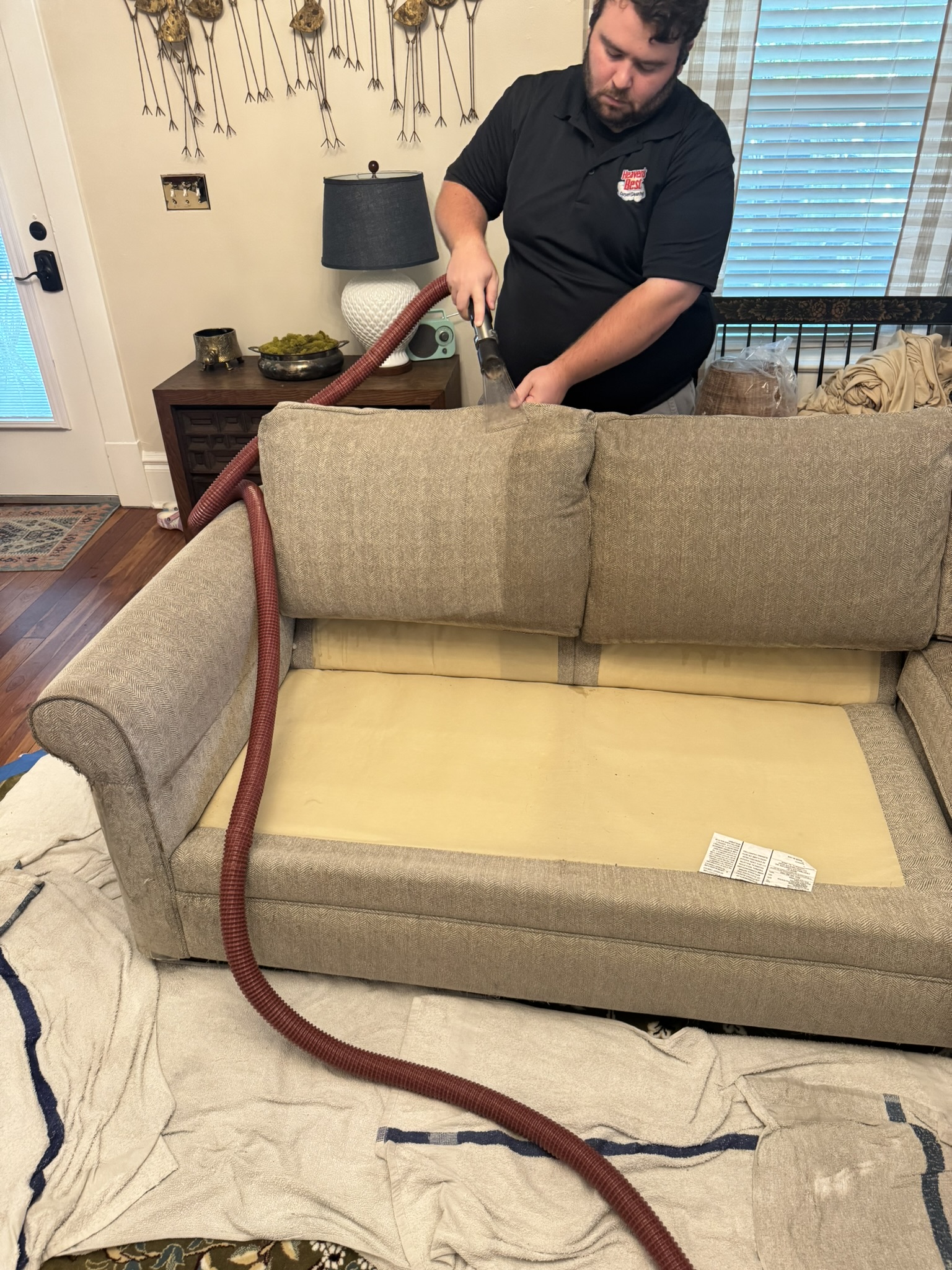Restore the Rich Color of Your Brown Sofa! 🛋️✨