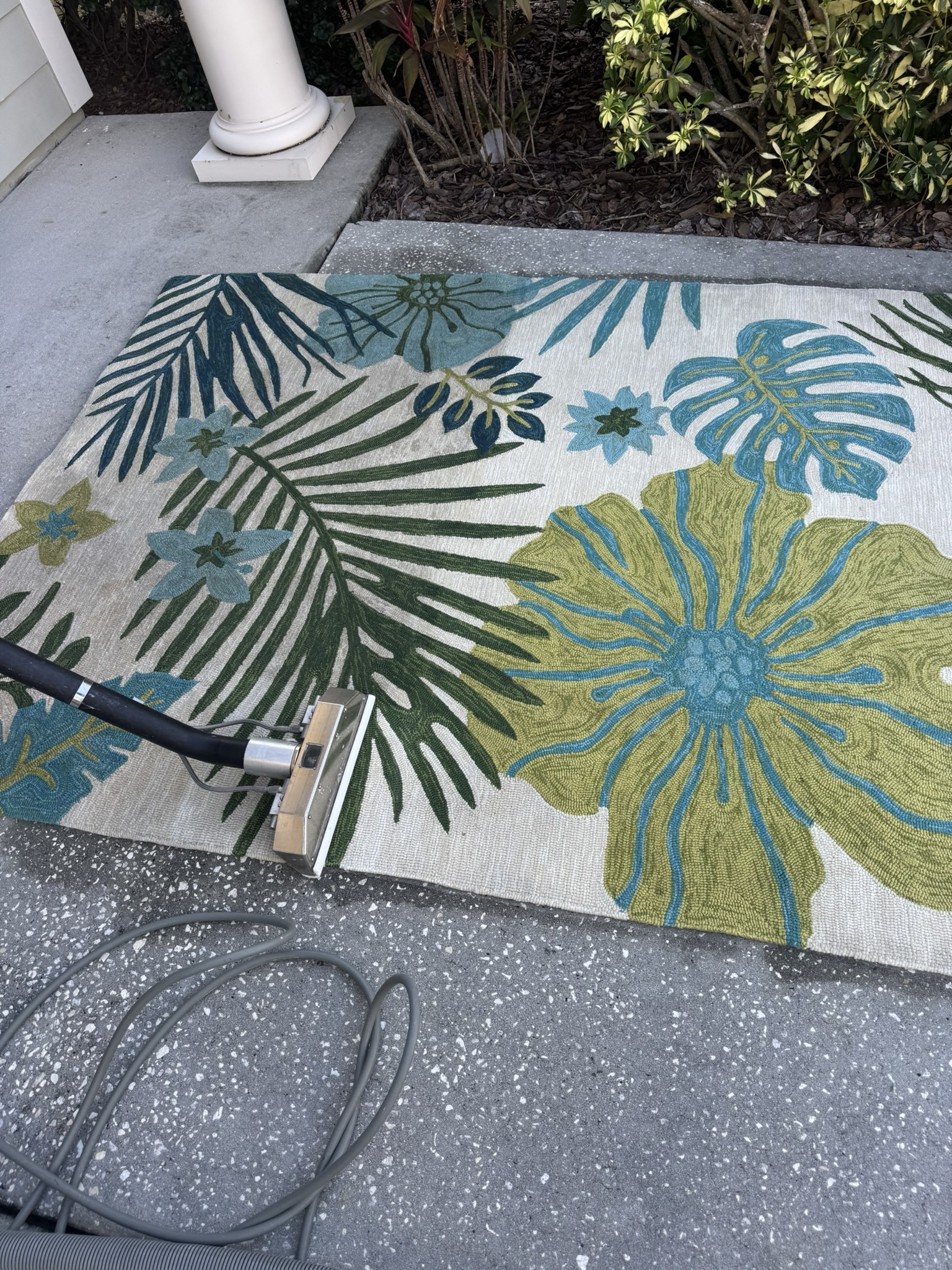 Don't Throw Away That Stained Area Rug! 🧼✨