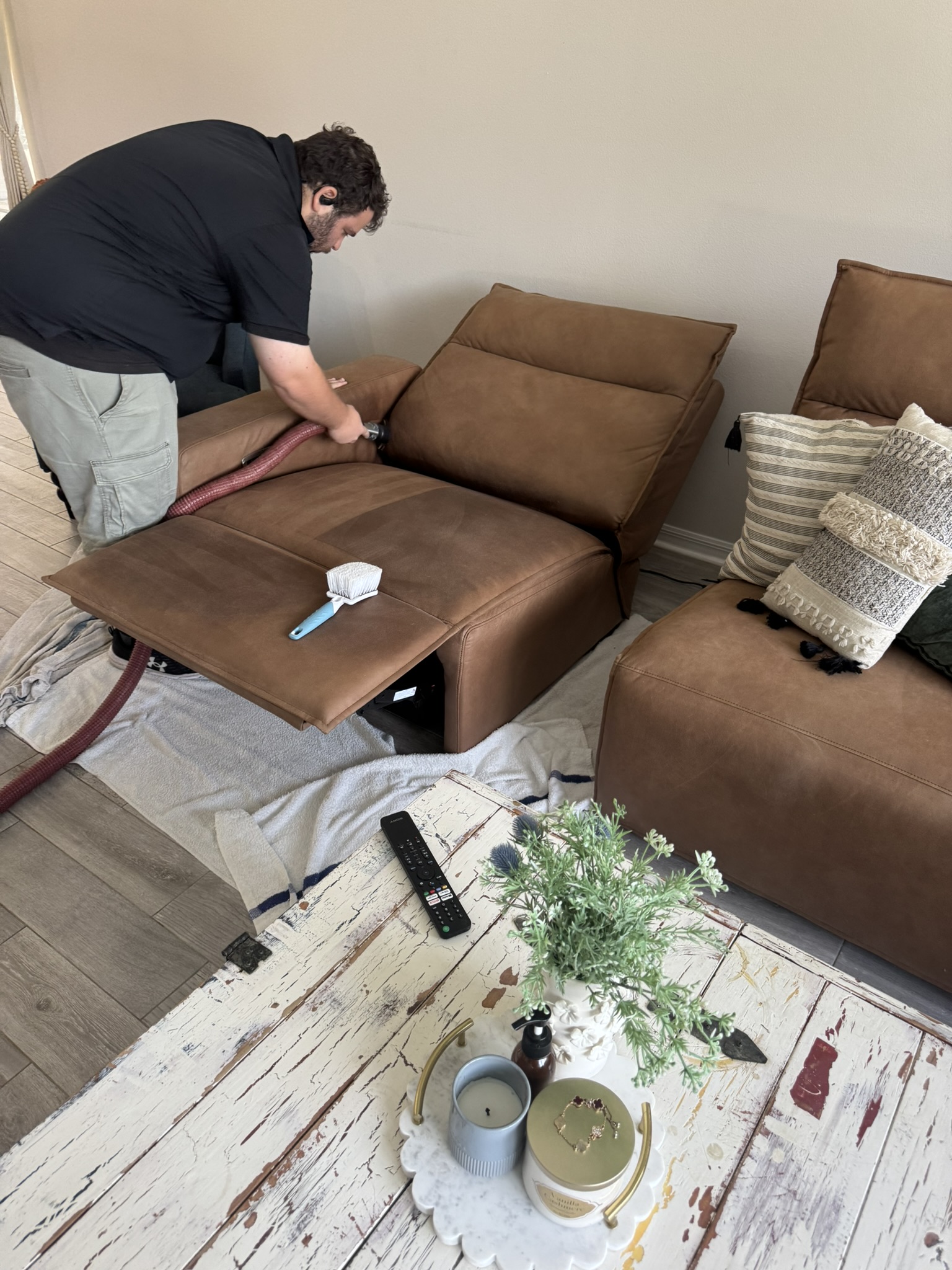 FishHawk Neighbors: Refresh Your Sectional & Banish Odors! 🛋️🐾