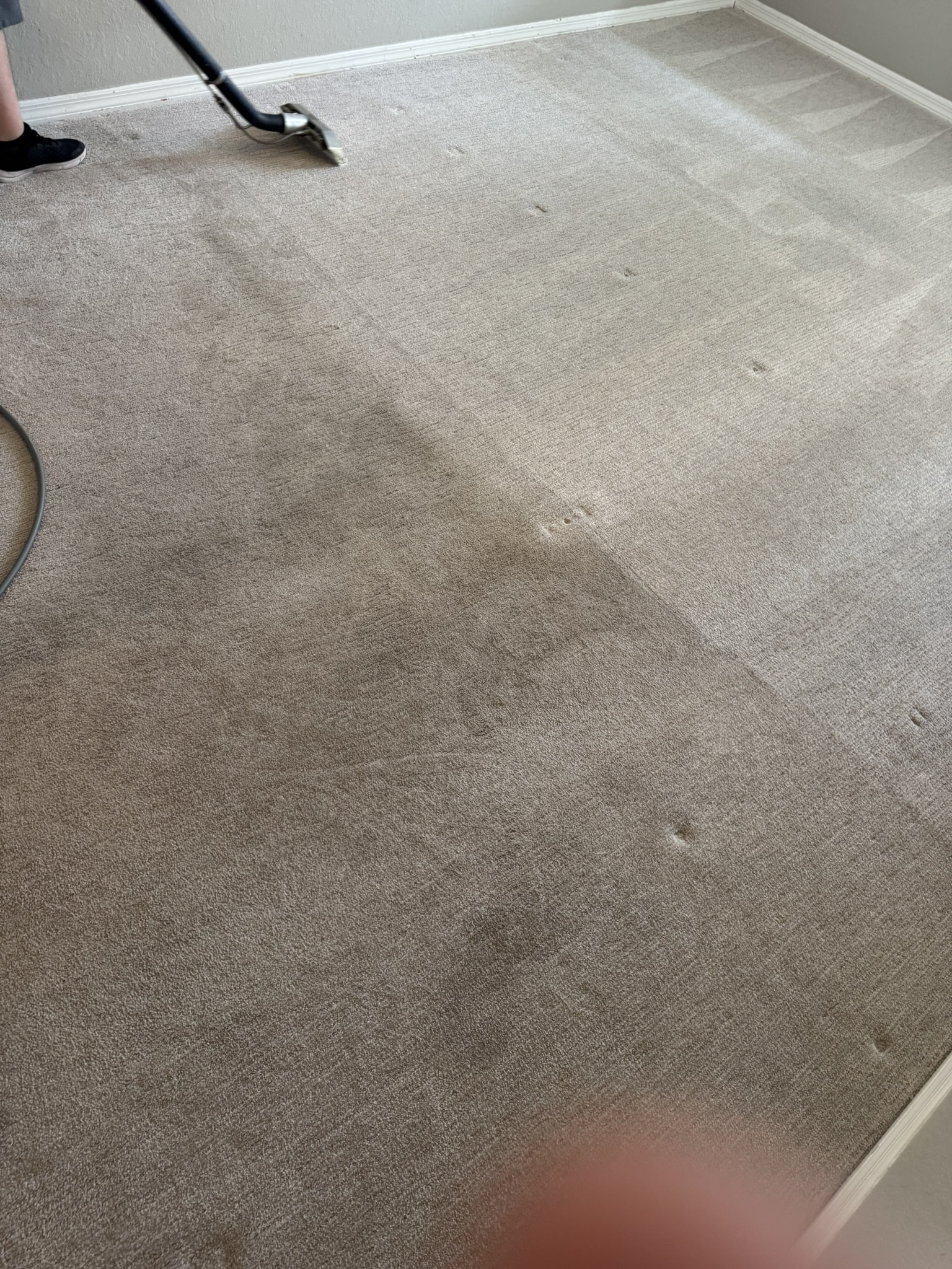 The Gold Standard in Floor Care: Carpet Deep Extraction Experts