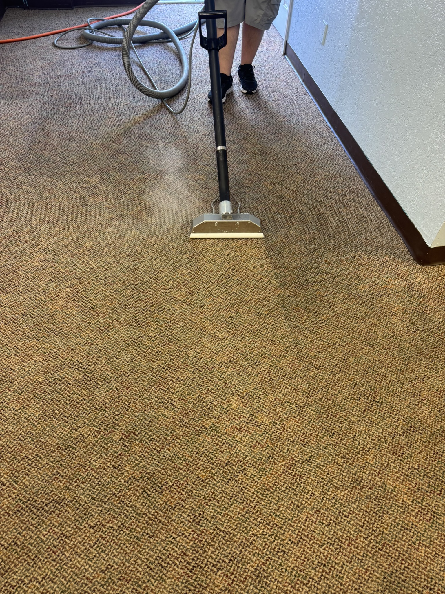 Commercial Carpet Cleaning Experts