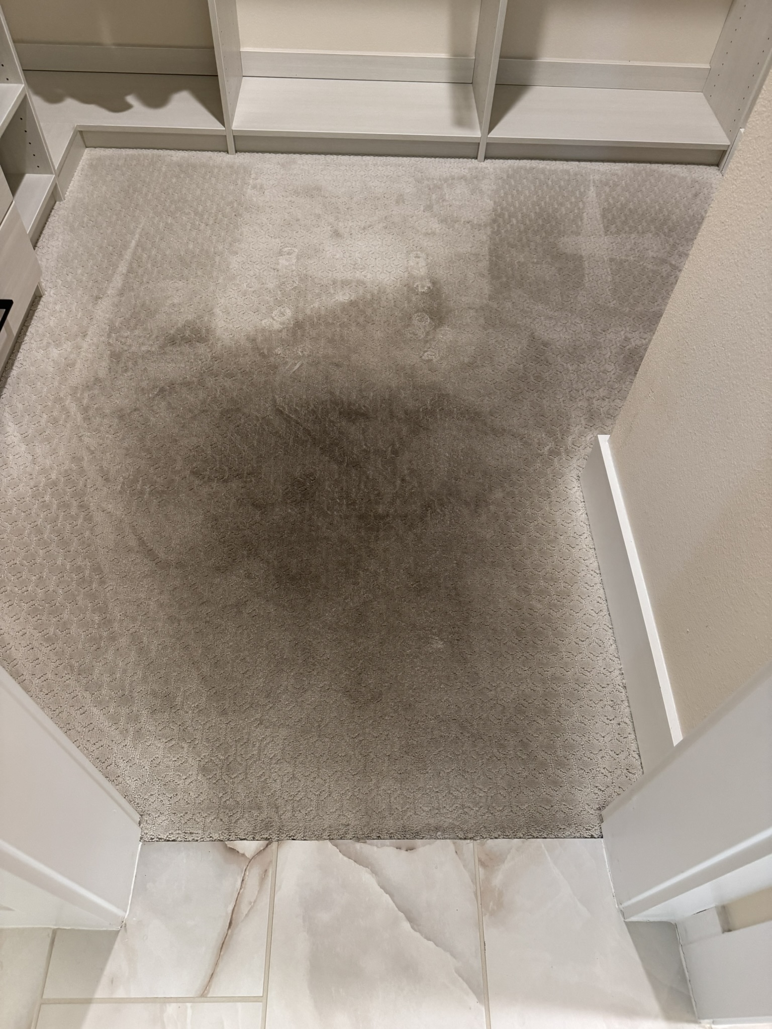 Model Home Carpet Cleaning is important