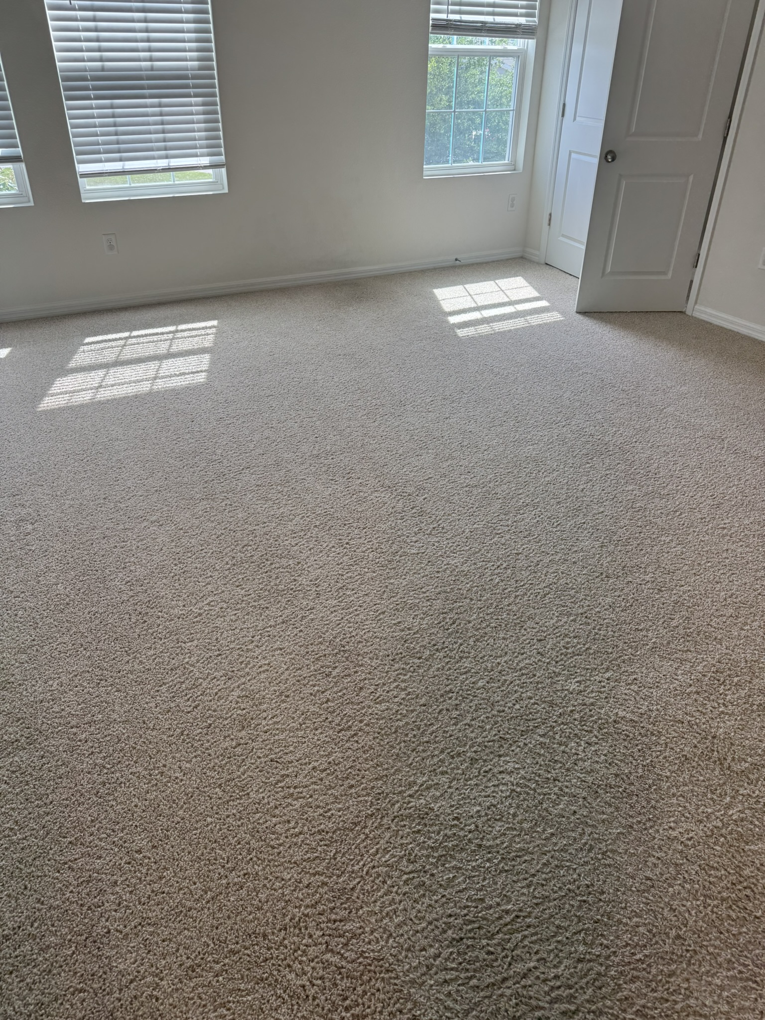 Valrico Carpet Cleaning Experts