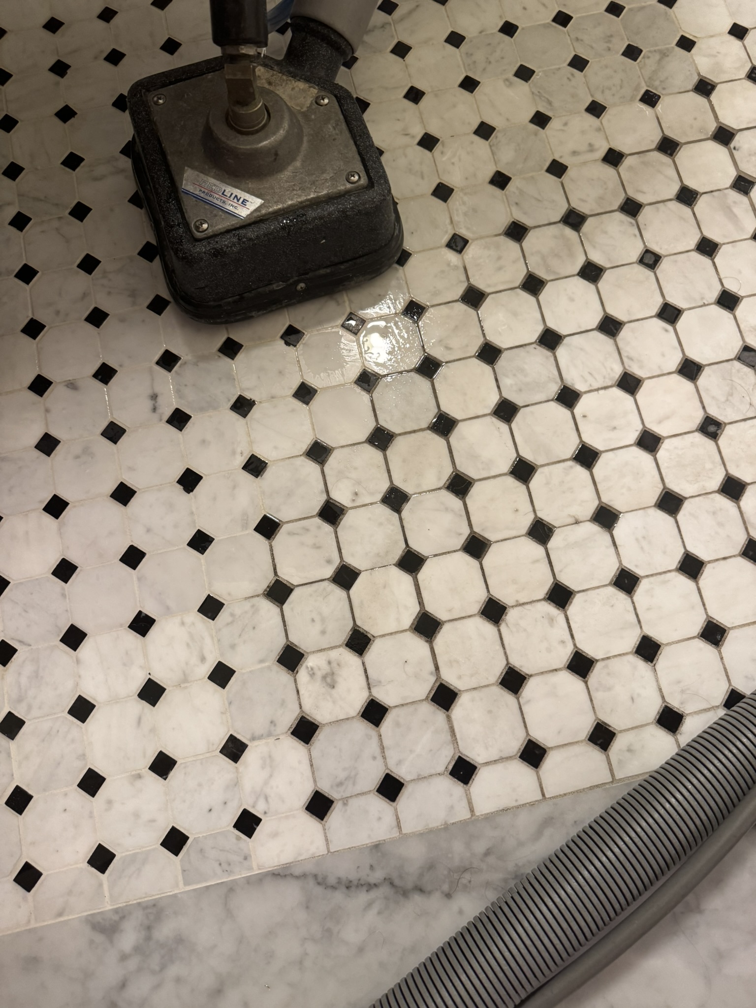 Tile and Grout Cleaning in Tampa Hotel