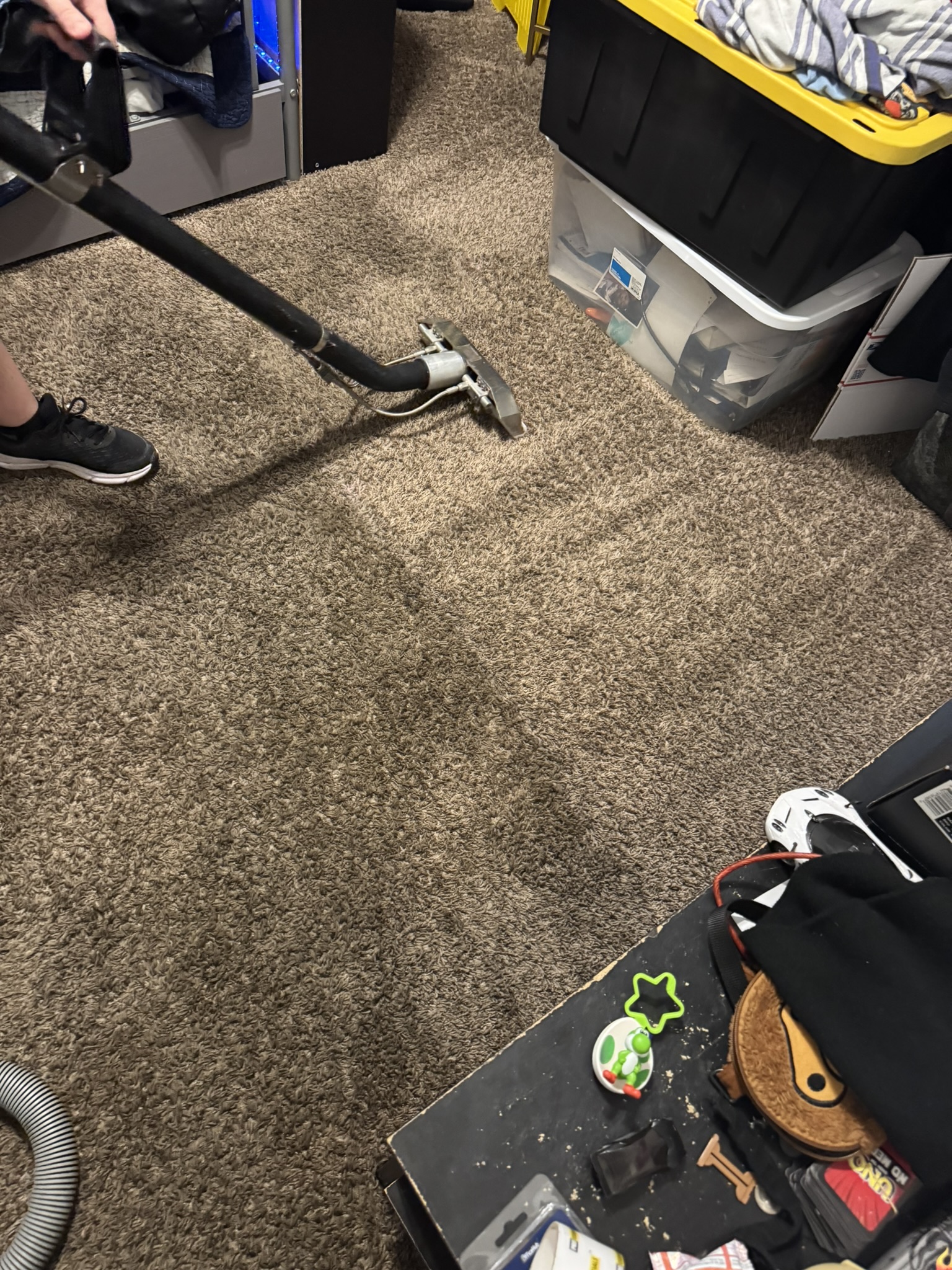 Deep Carpet Extraction Cleaning in Tampa Fl