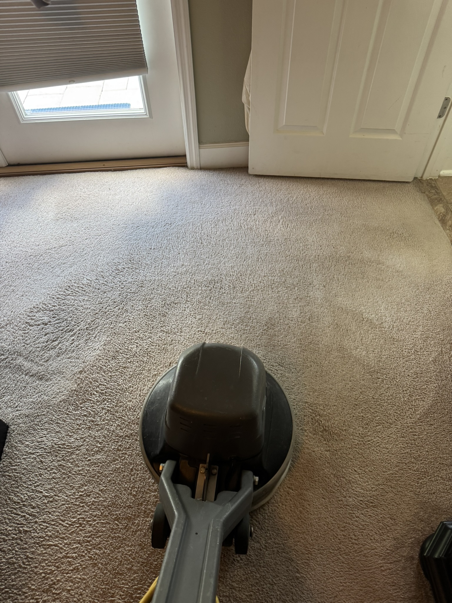 Low Moisture Carpet Cleaning