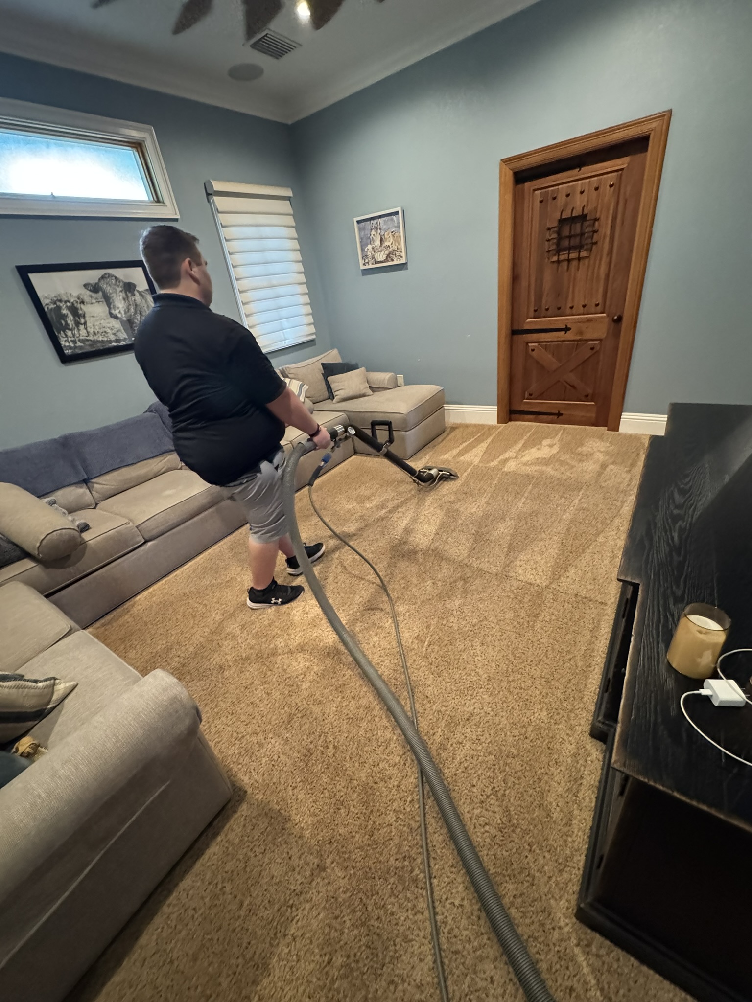 carpet rug cleaners near me