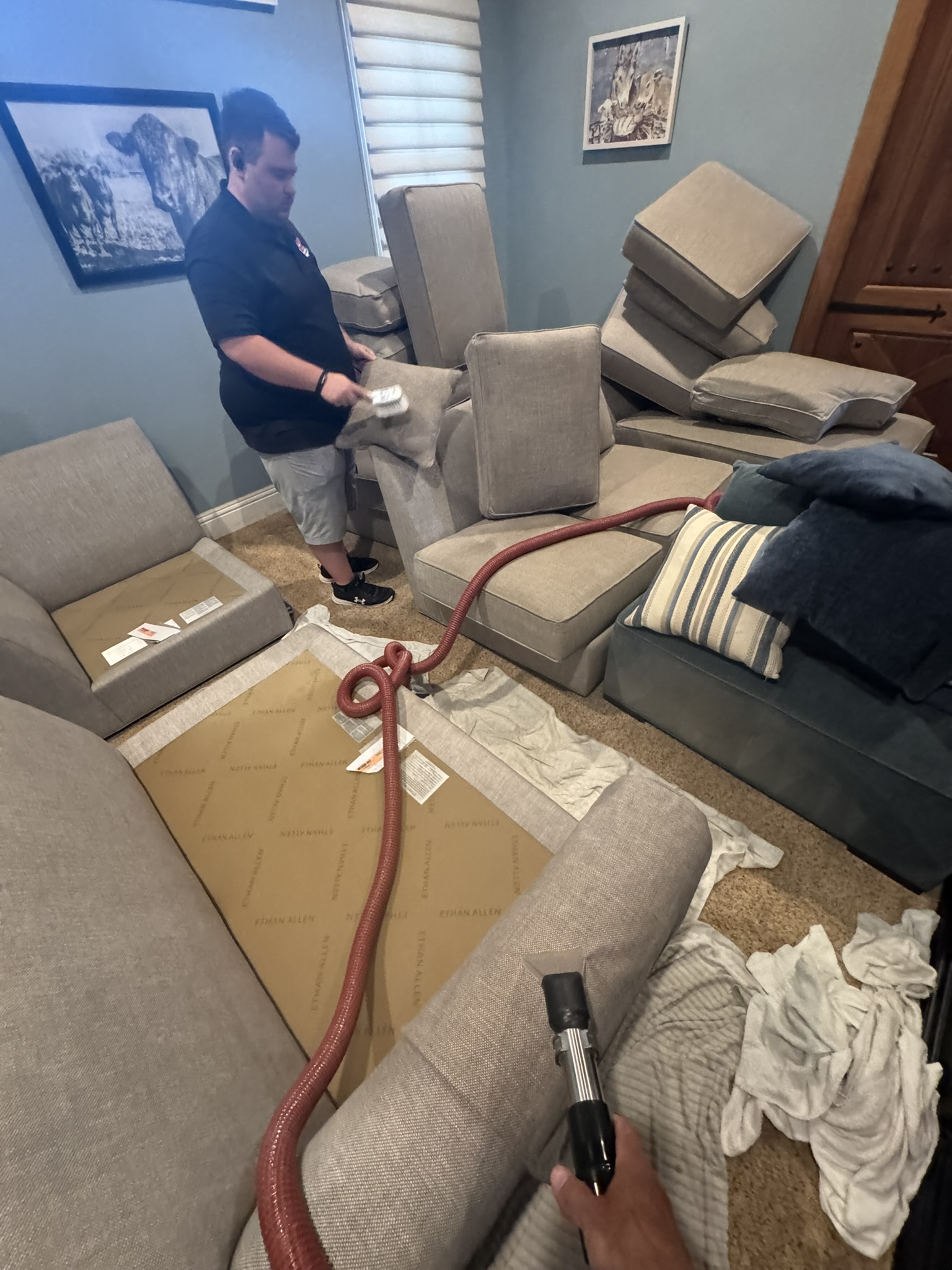 Lithia Florida Furniture Cleaning