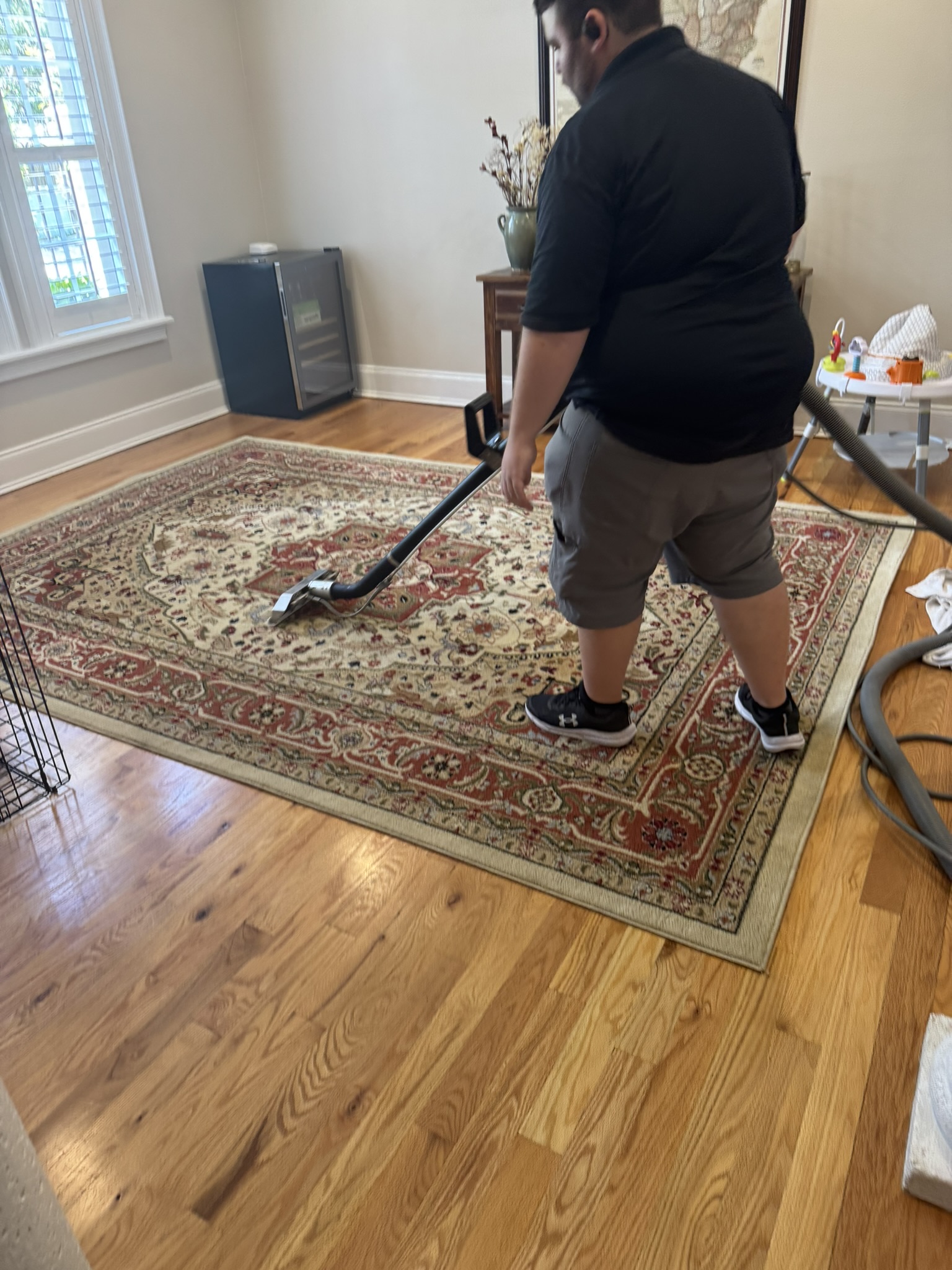 Pet stains on your favorite area rug? We can fix that.