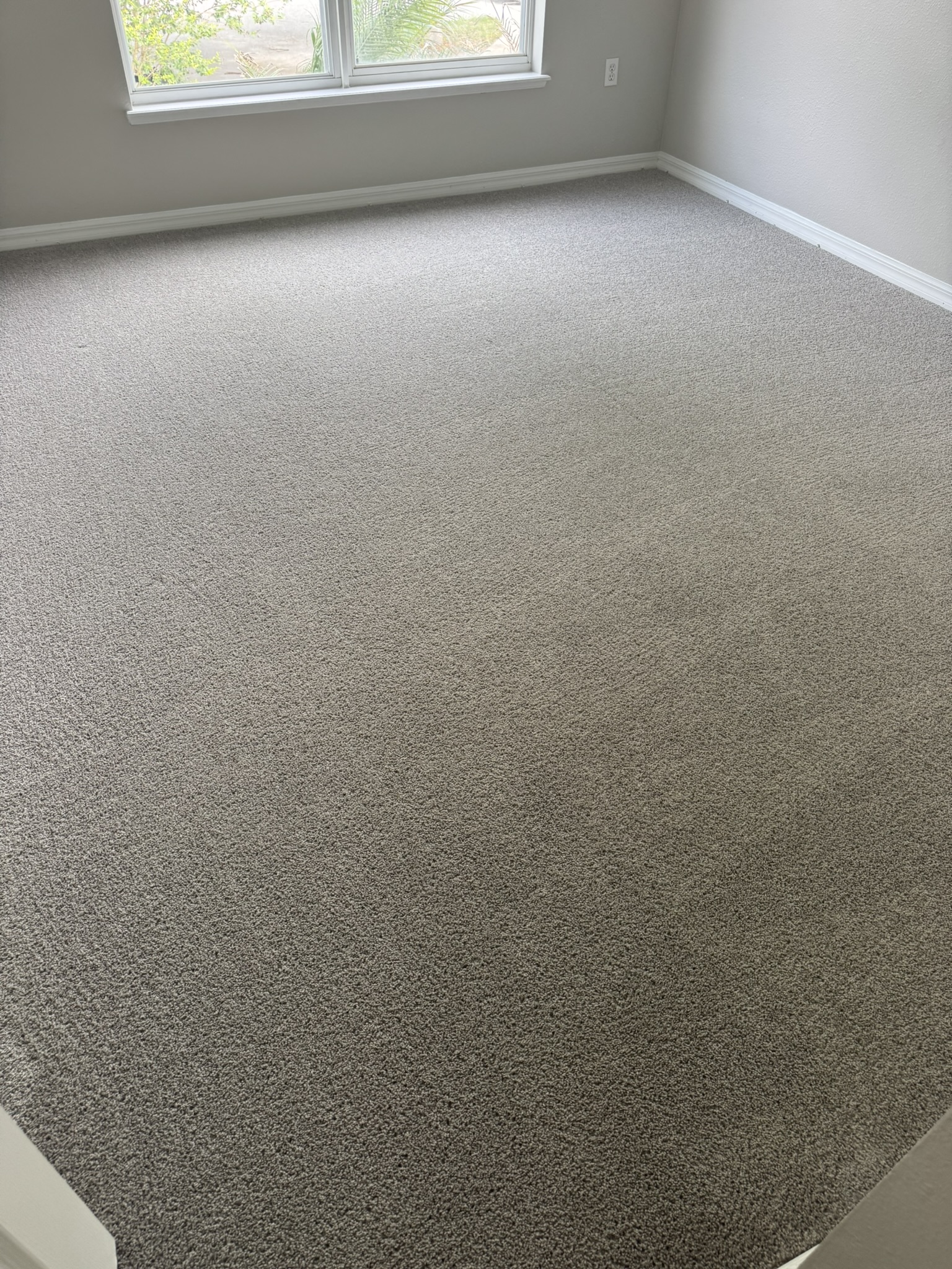 Nothing looks better than a nice clean carpet.