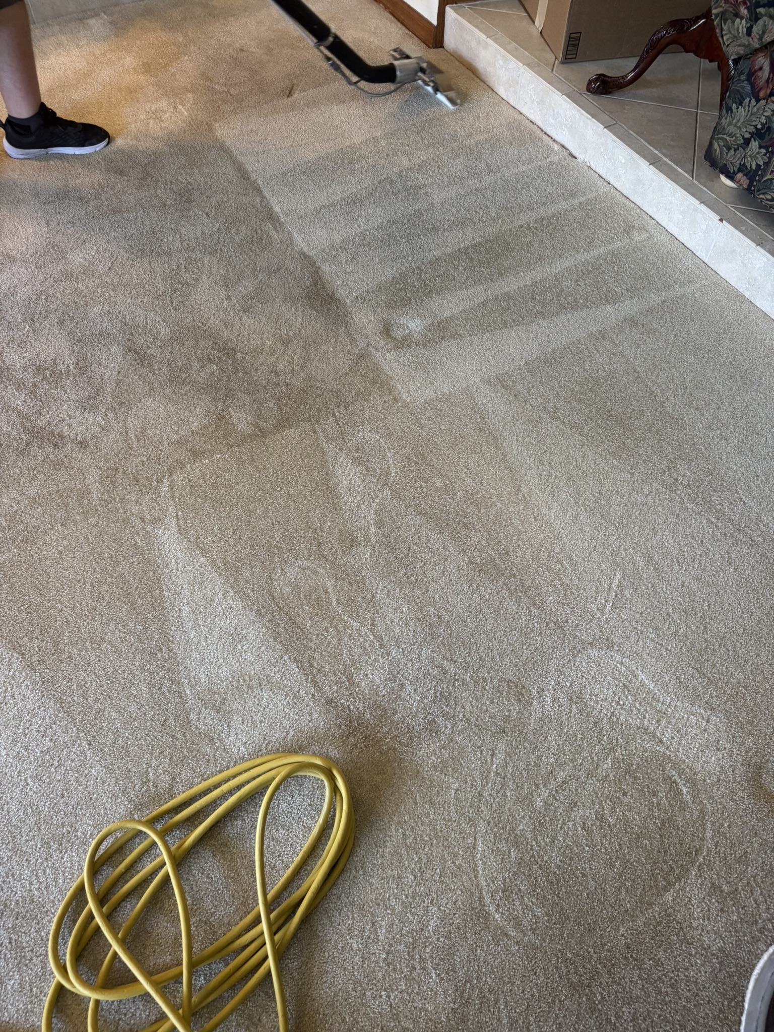 Deep Carpet Cleaning in Seffner Fl.