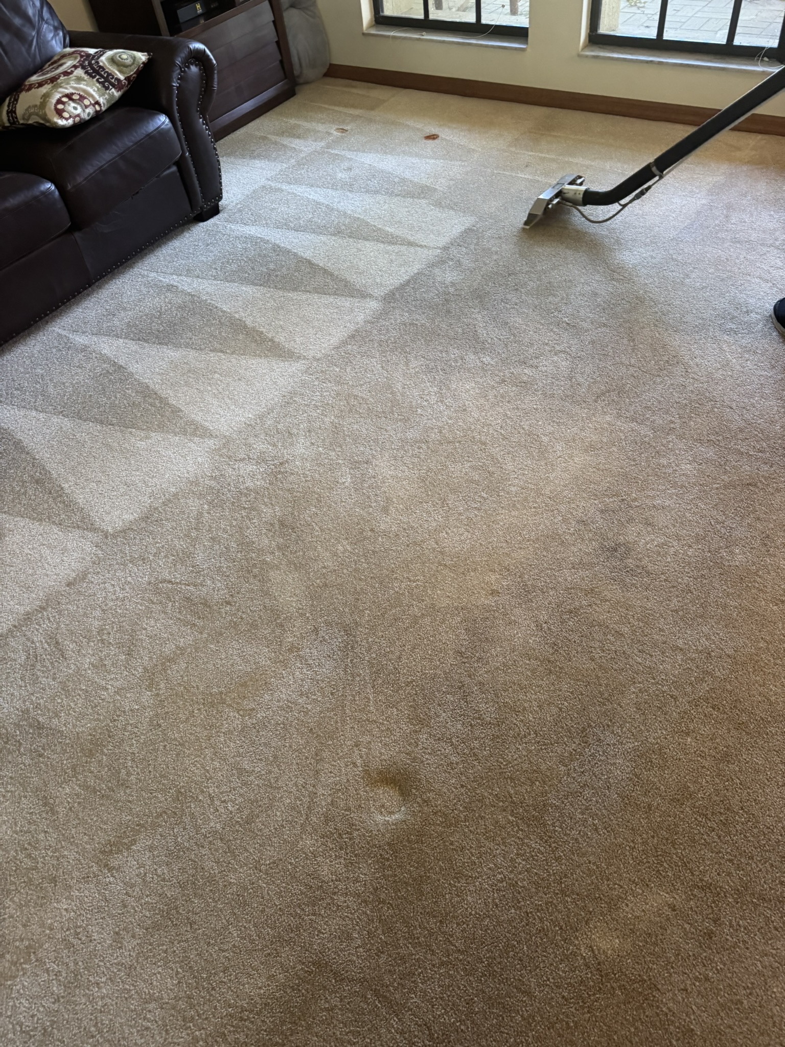 Residential Carpet Deep Steam Cleaning Service