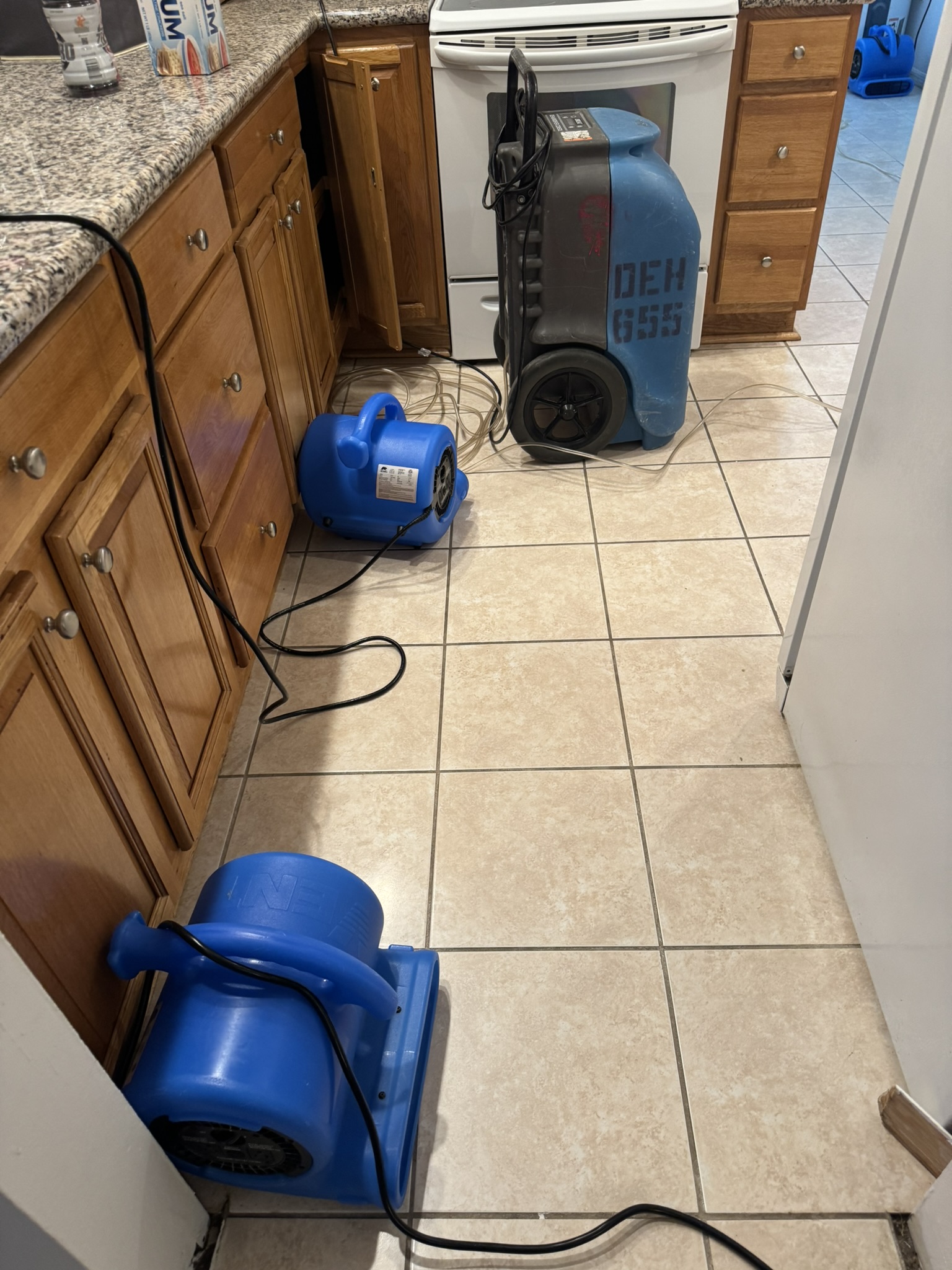 Water Damage Removal in Sun City Fl
