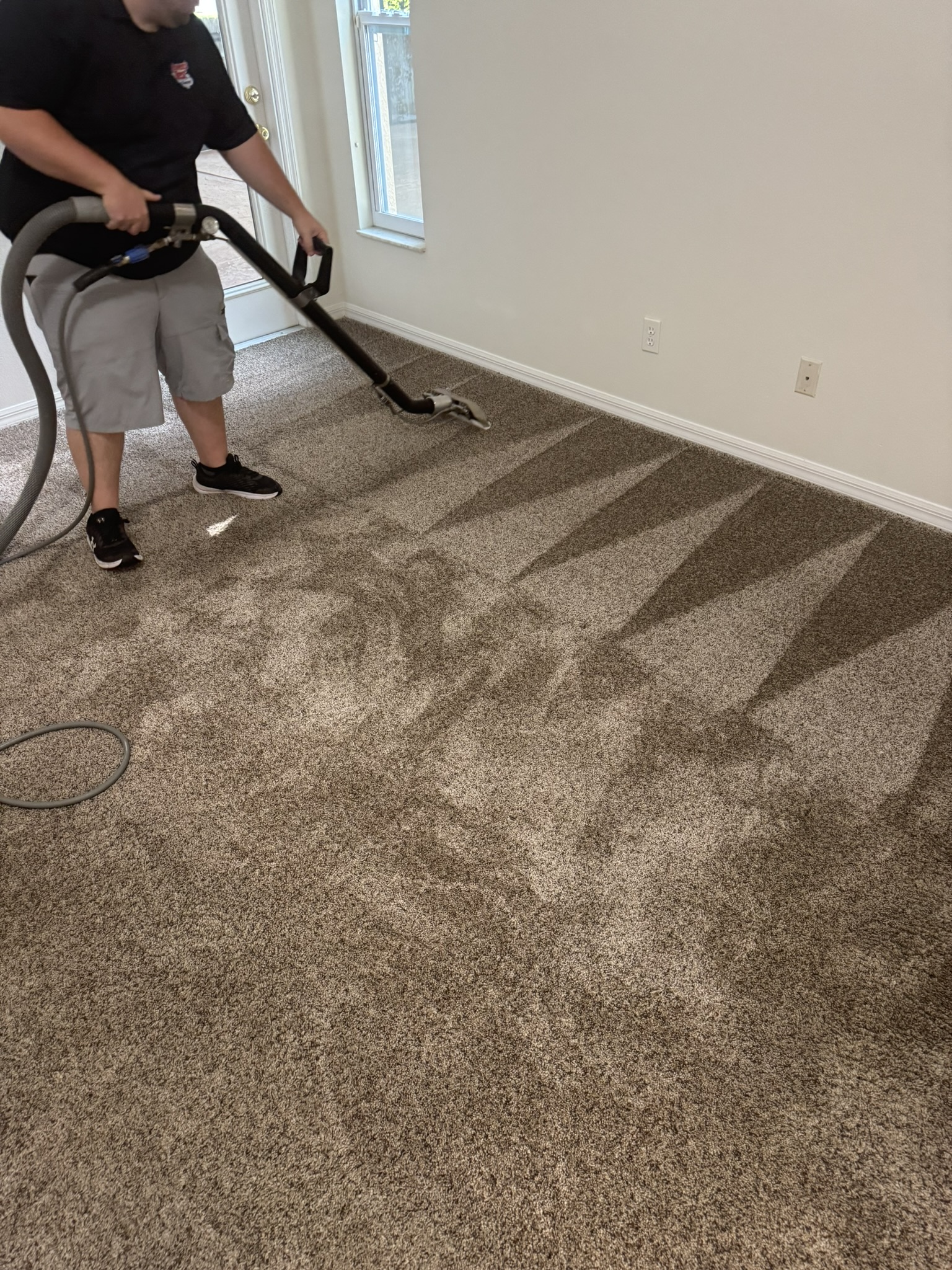Deep Carpet Cleaning in Tampa Fl.