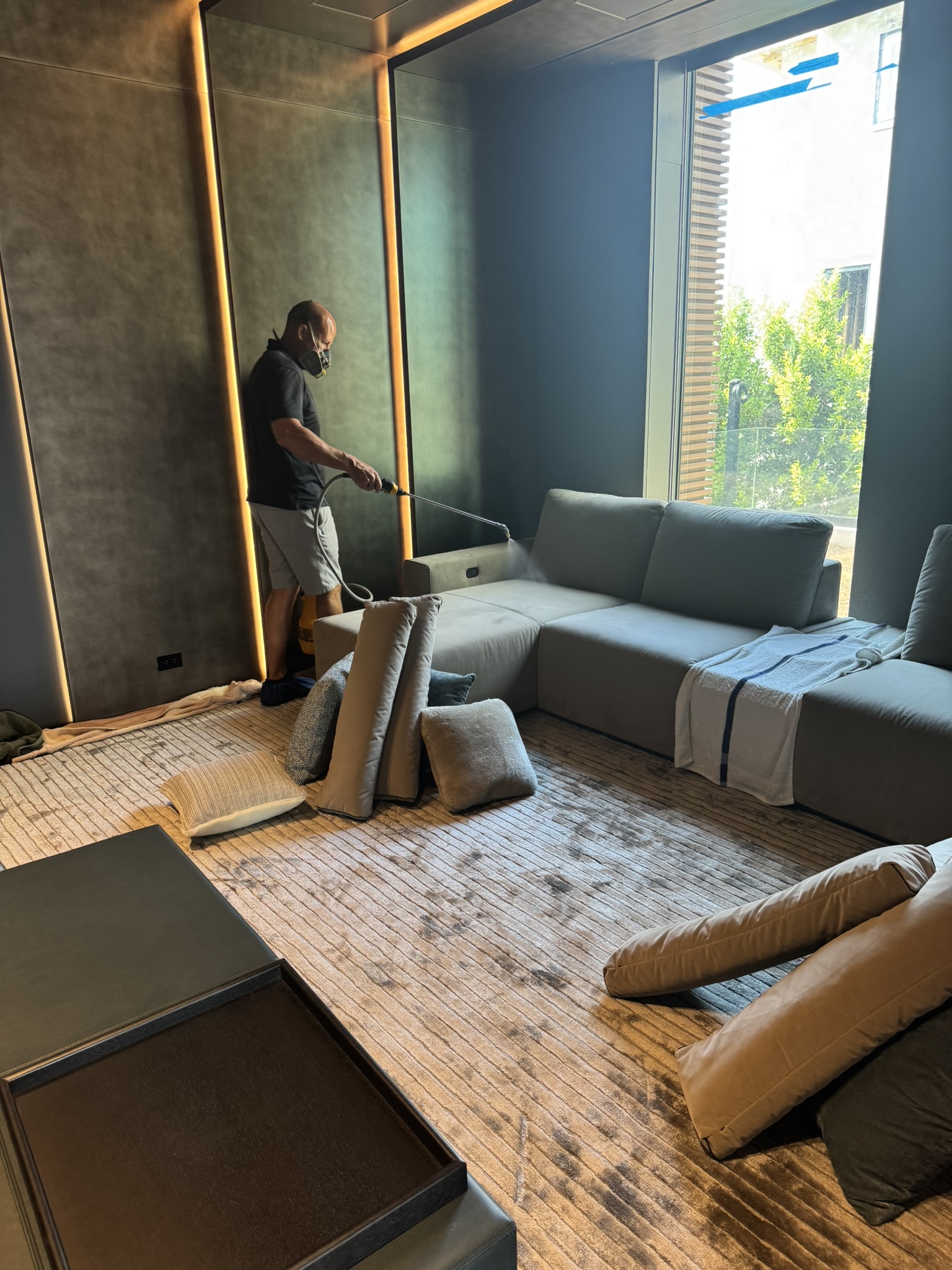 Upholstery Protectant Application in Tampa