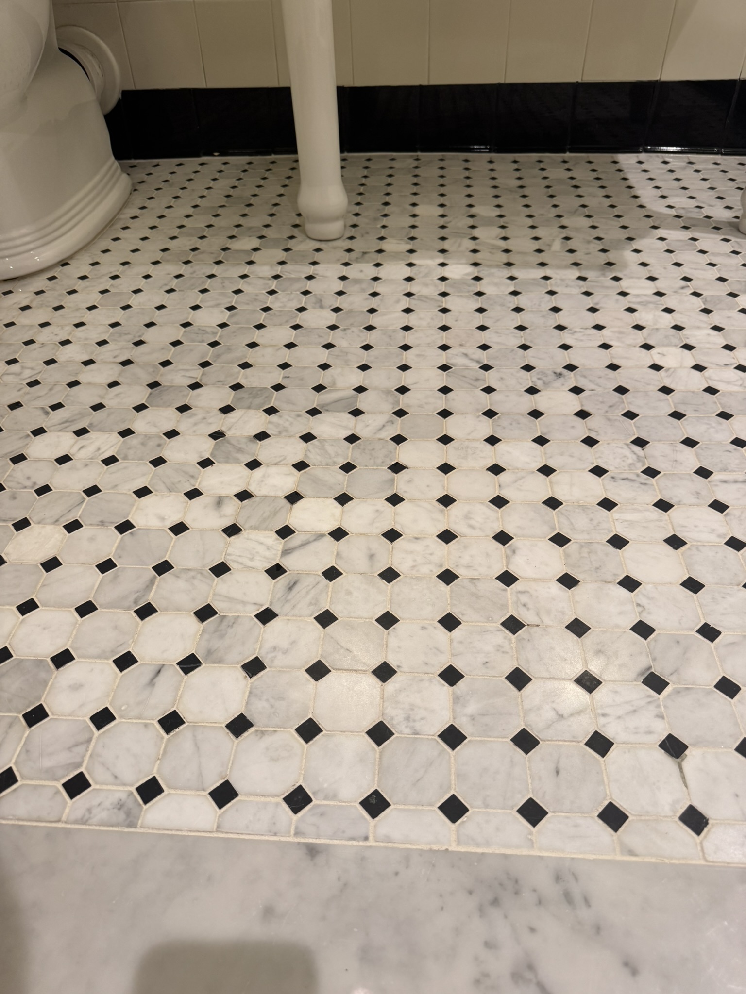 Tile and Grout Cleaning in Hyde Park Hotel