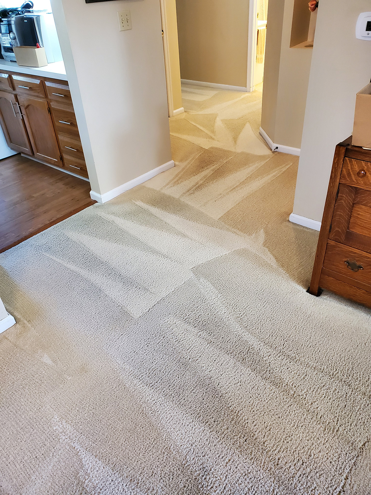 Heaven's Best Carpet Cleaning of Central PA Dry in 1 Hour