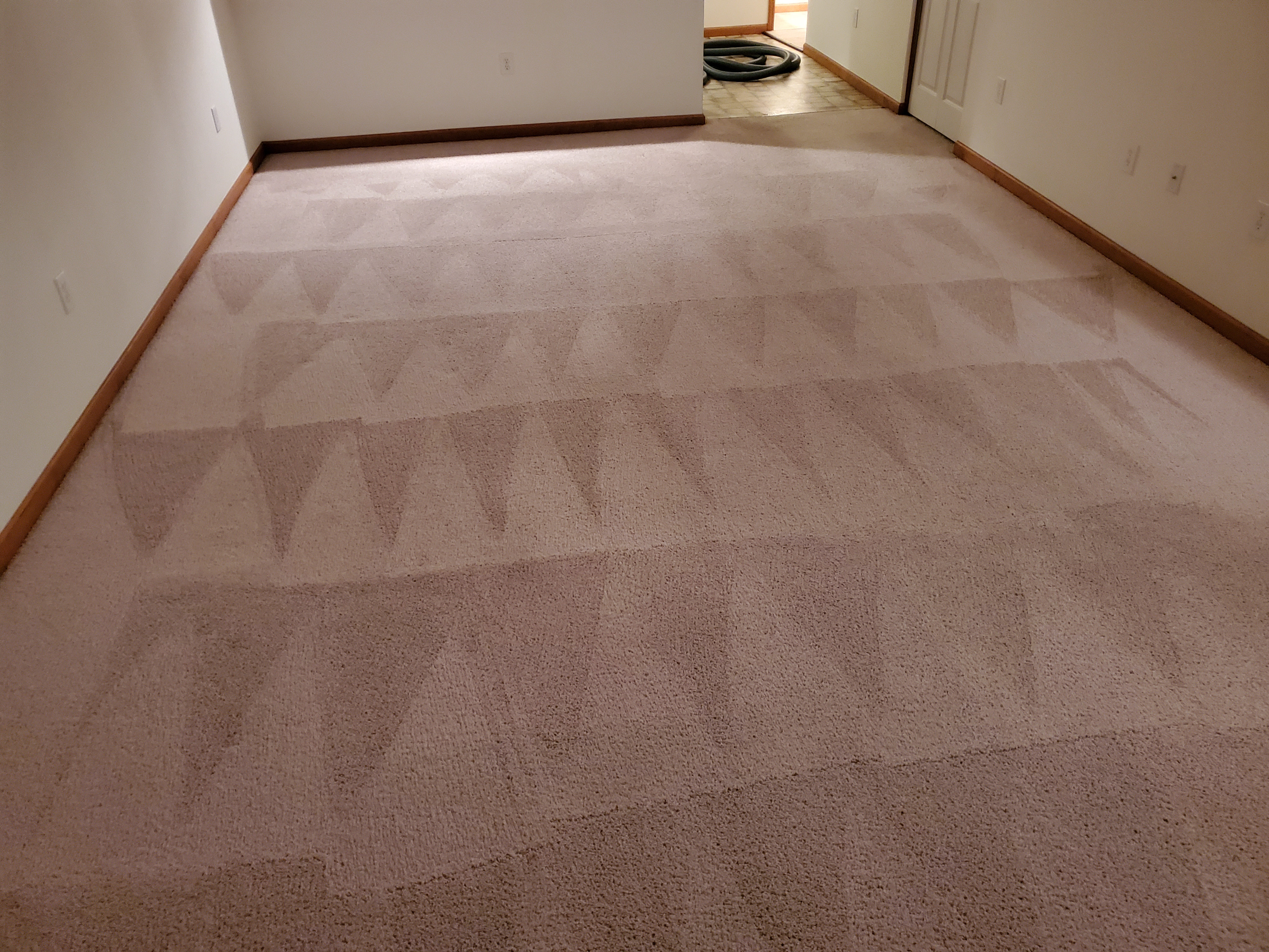 Carpet After Heaven's Best Carpet Cleaning