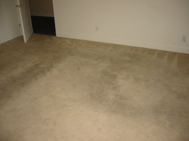 Carpet Before Cleaning