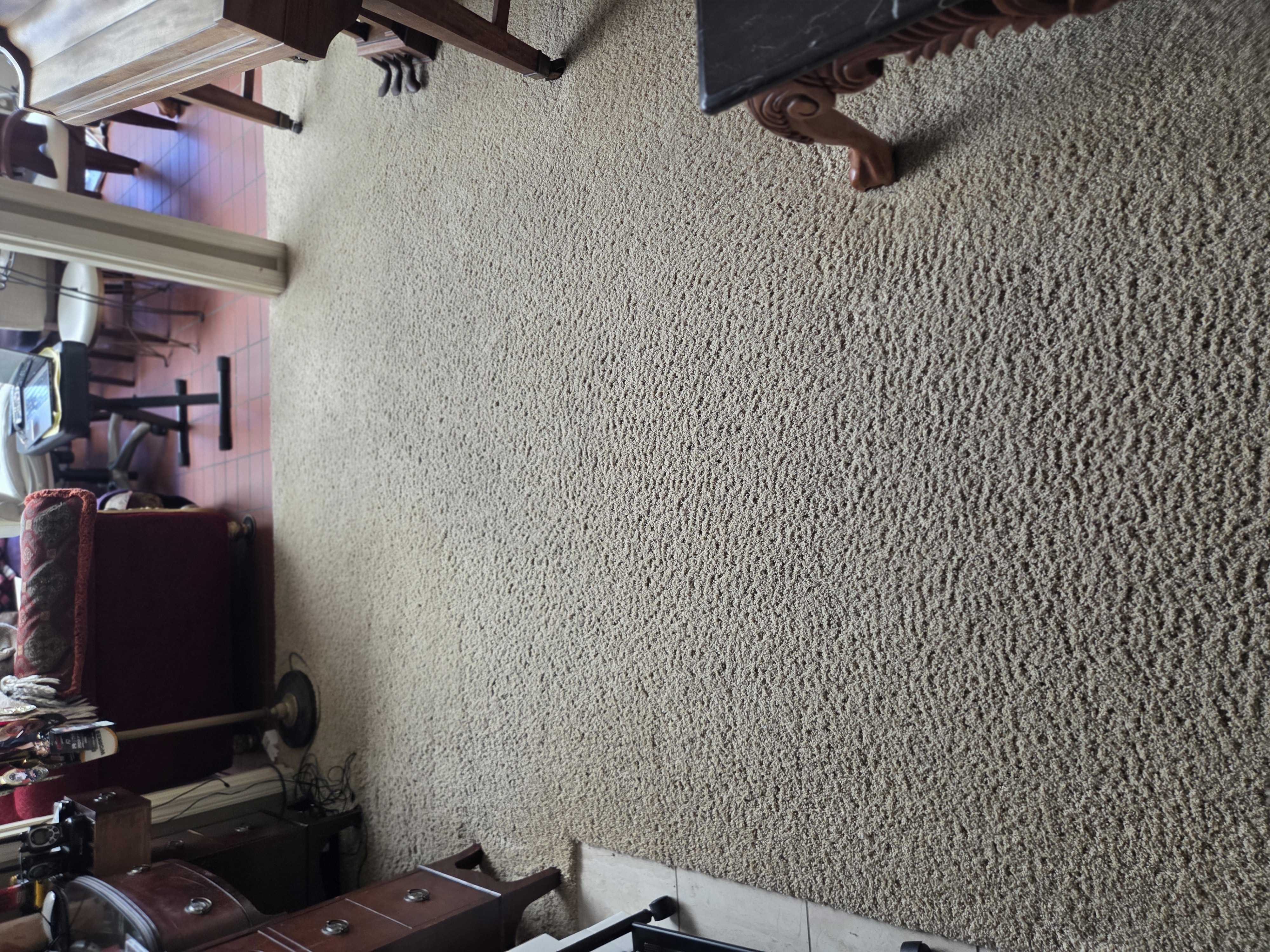 Richmond Home Carpets Deep Cleaned and Refreshed!