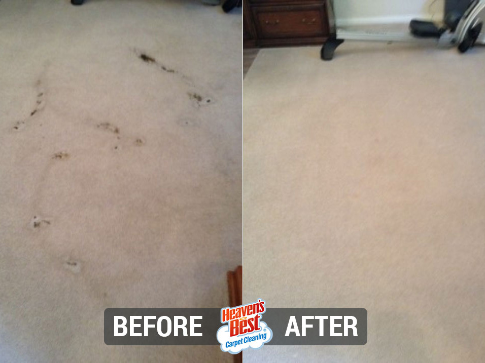 Heaven's Best Carpet Cleaning Lincoln NE