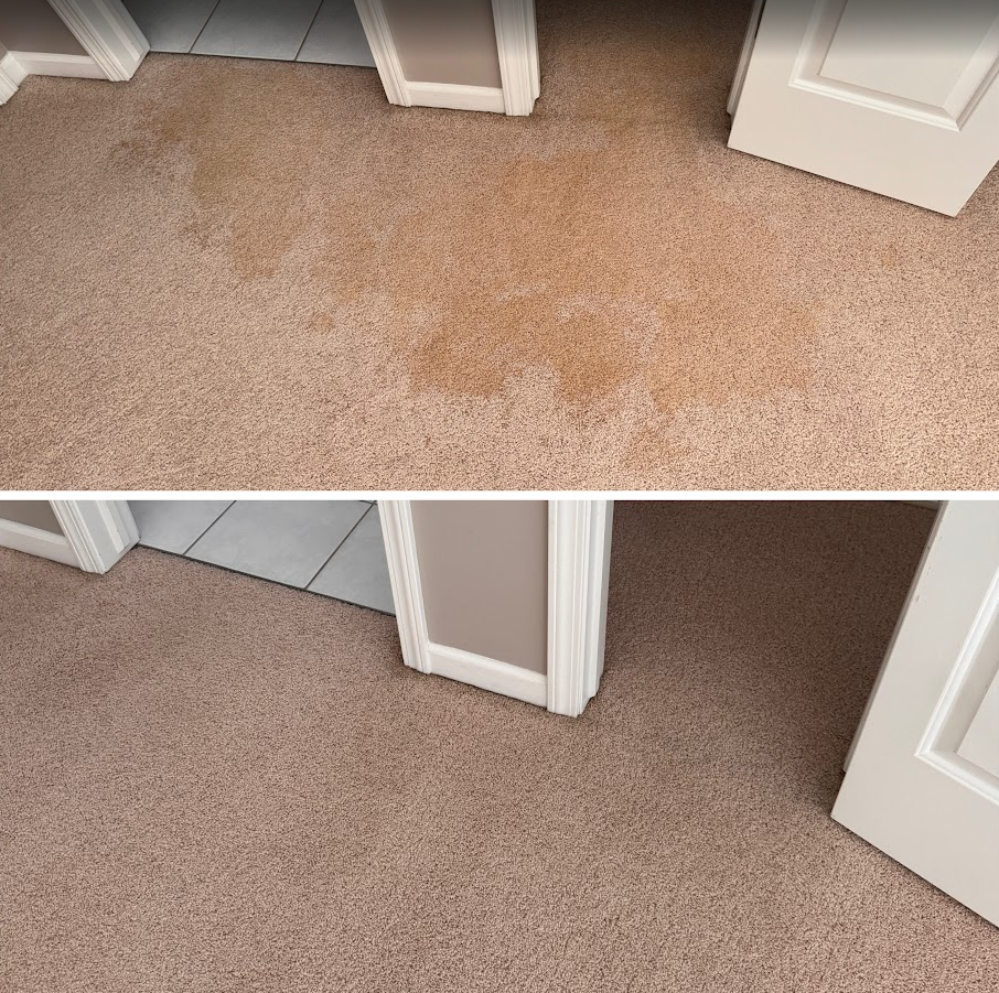 Residential Carpet Cleaning Long Grove, IL