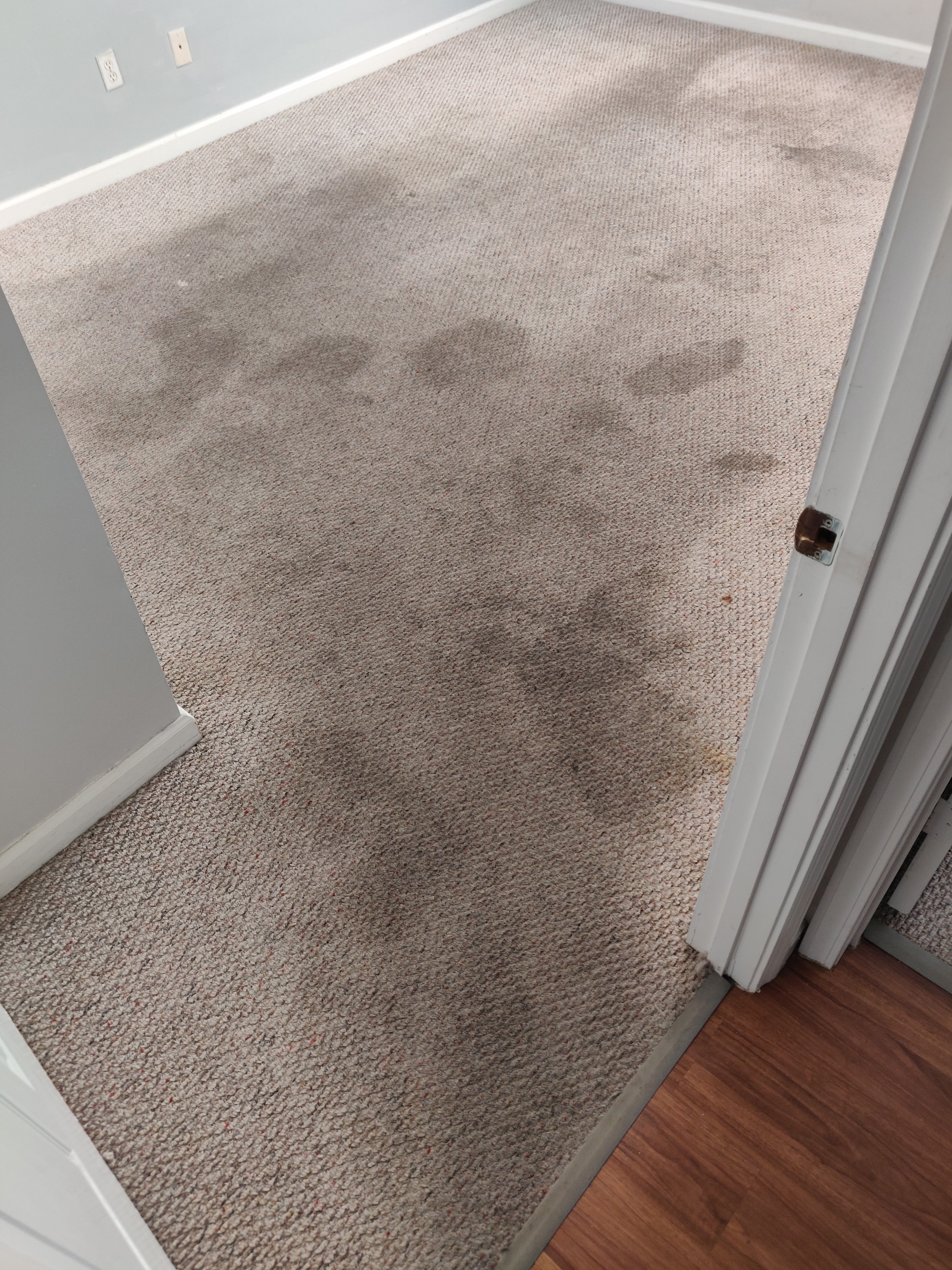 Carpet Before Cleaning