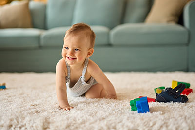 Carpet Cleaning Professionals