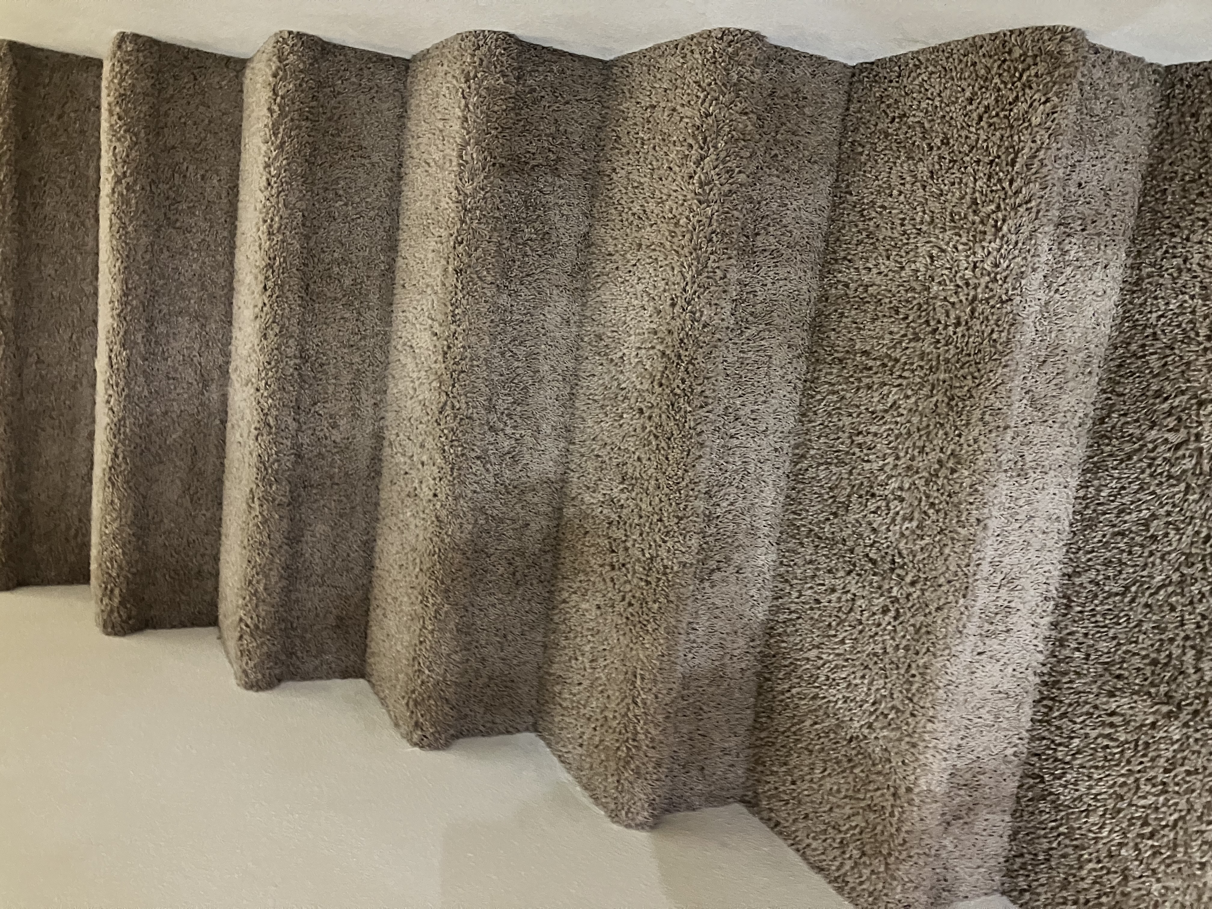 Oregon City carpet cleaning