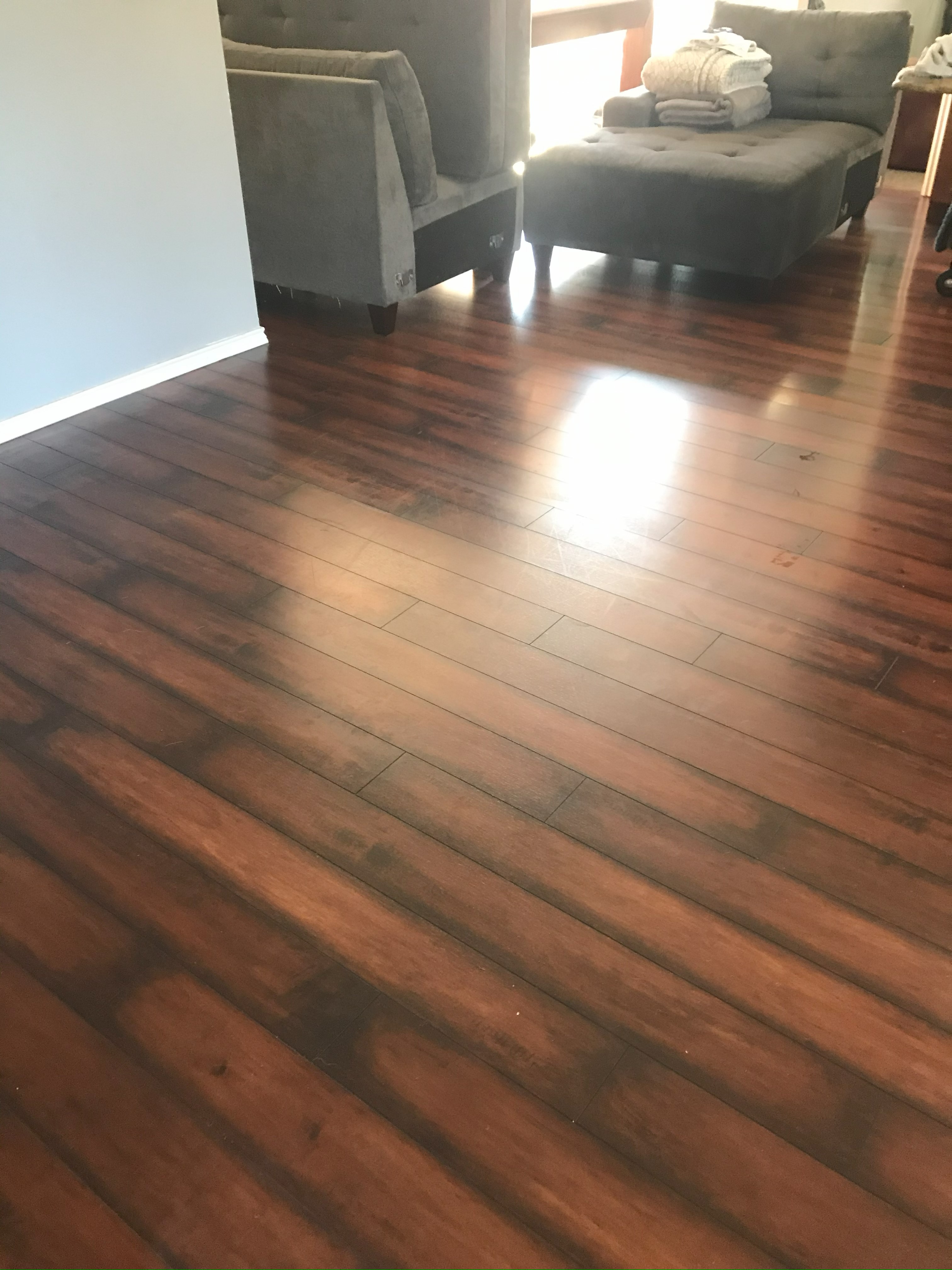 Oregon City Carpet and Hardwood cleaning