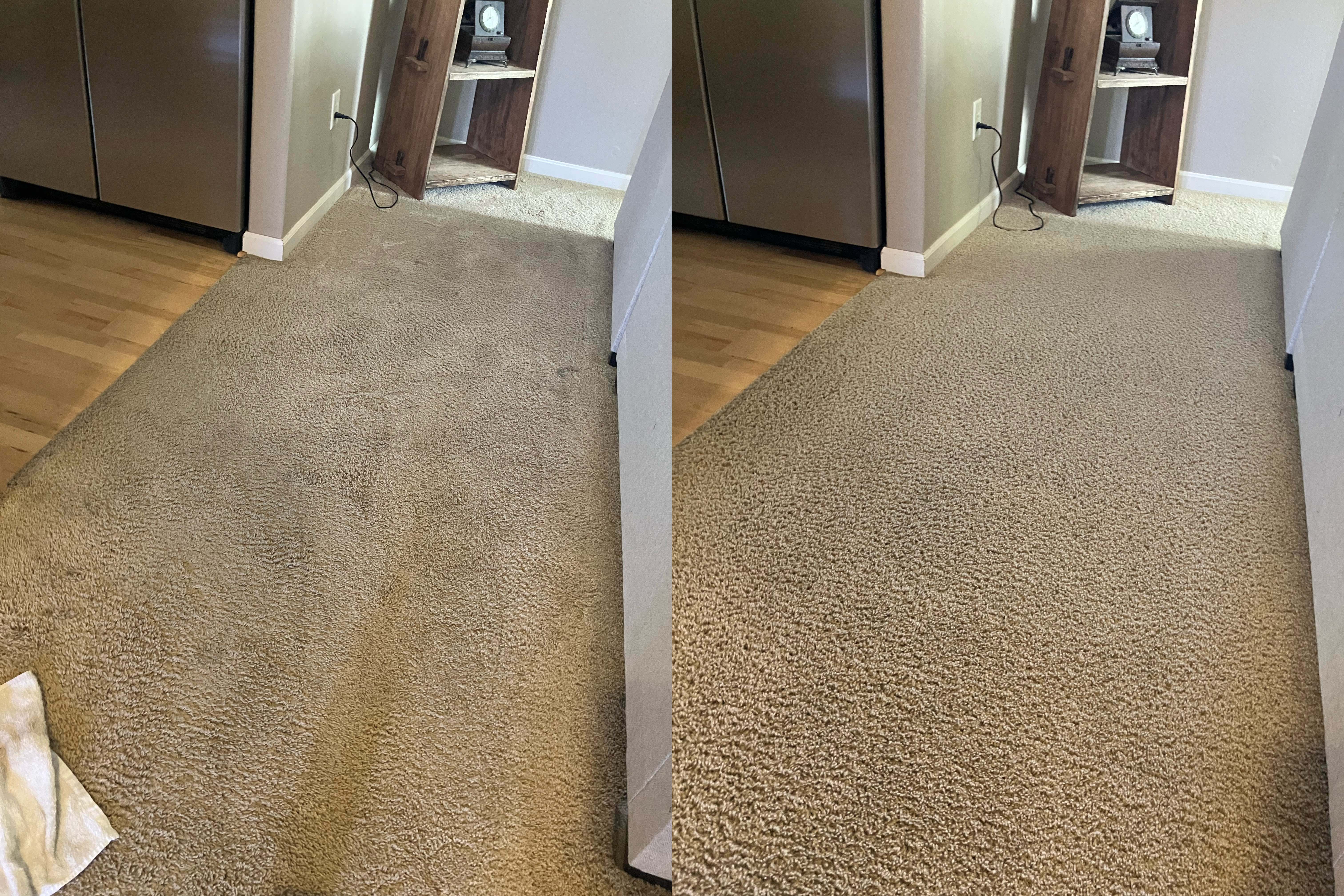 Milwaukie carpet cleaning
