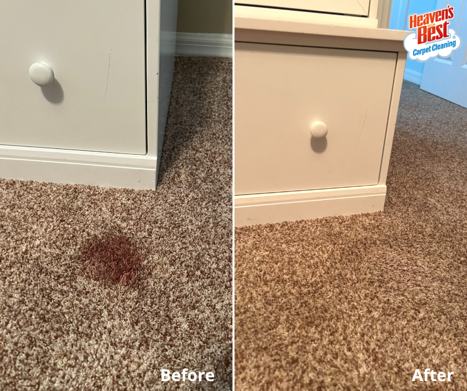 carpet stain removal services