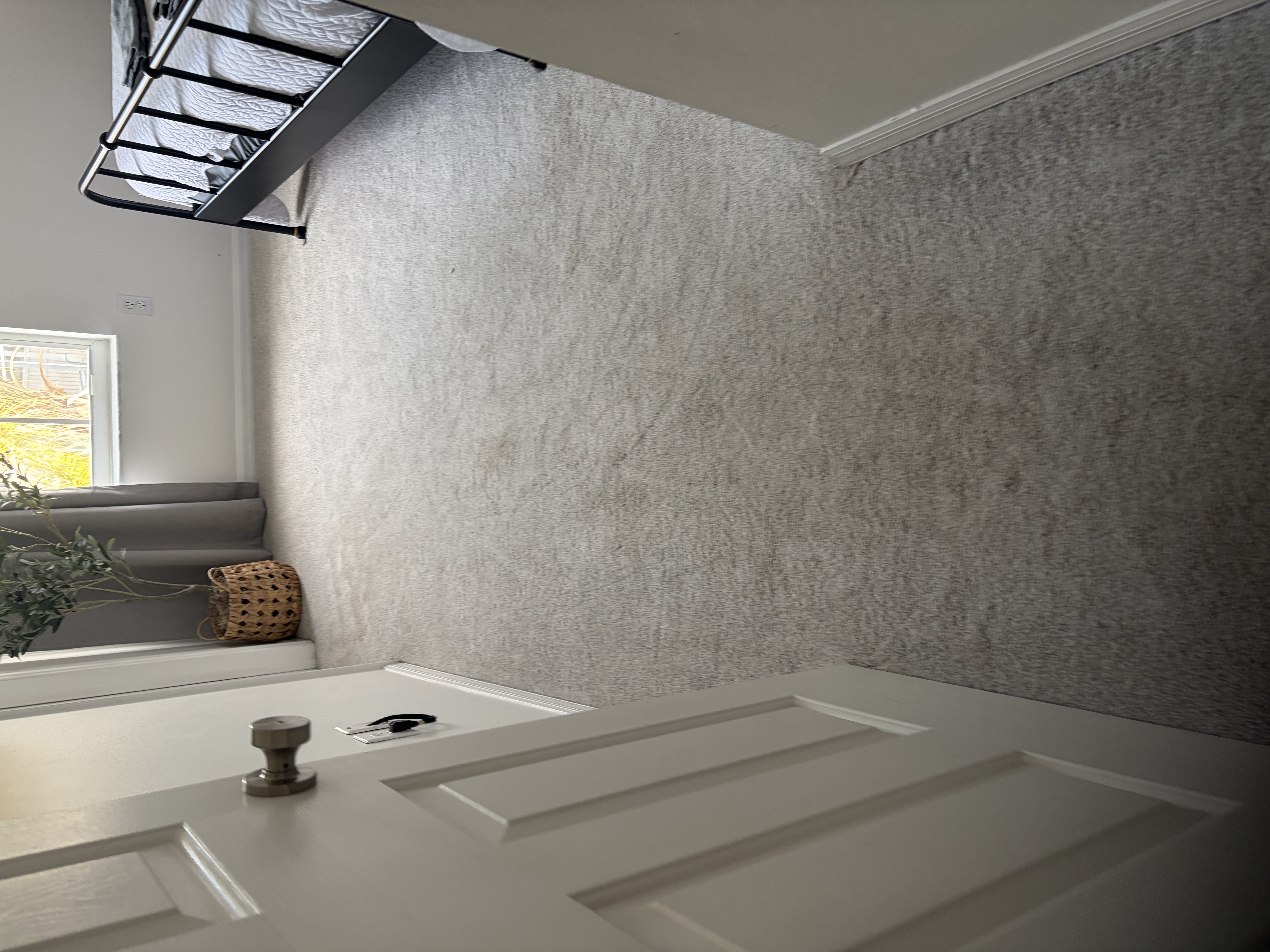 Carpet Cleaning Residence
