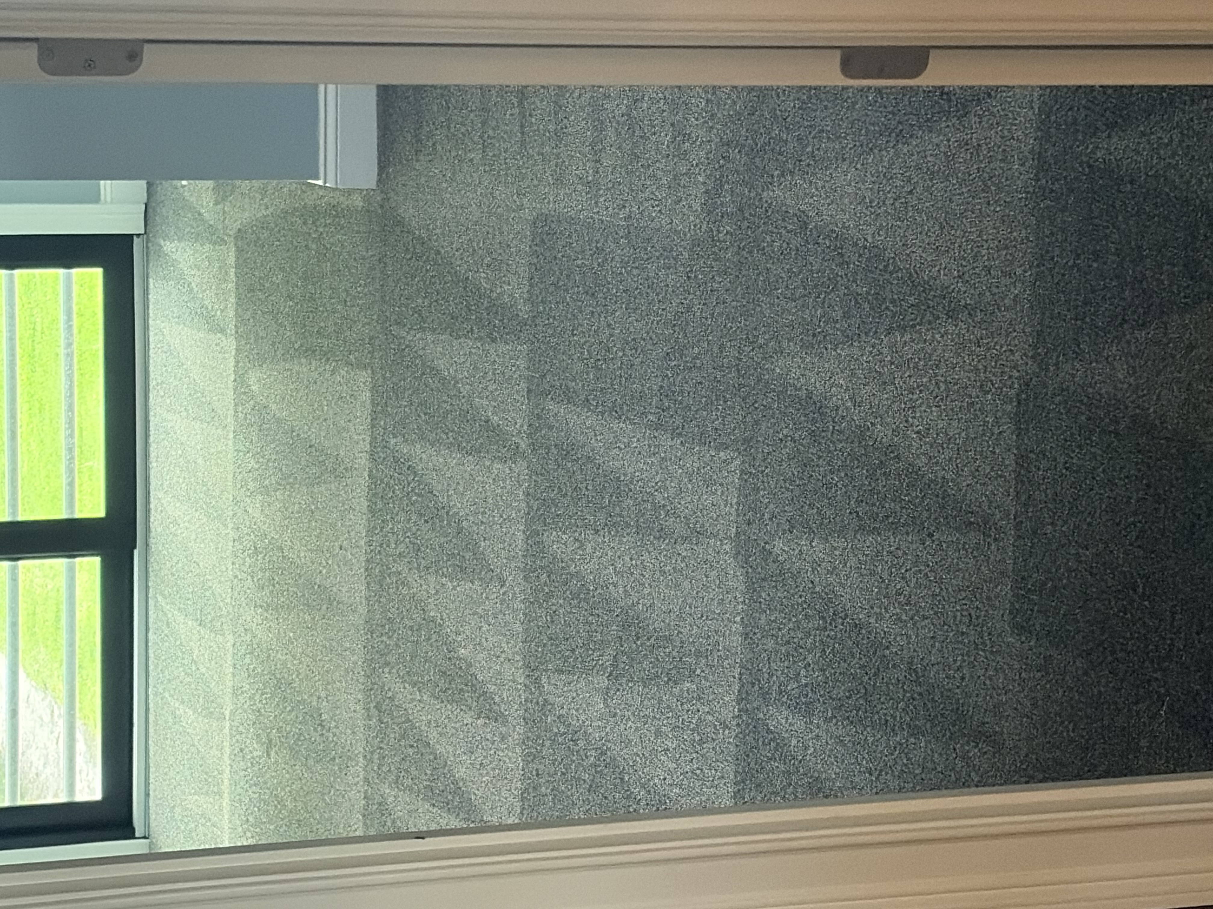 Move in Carpet Cleaning