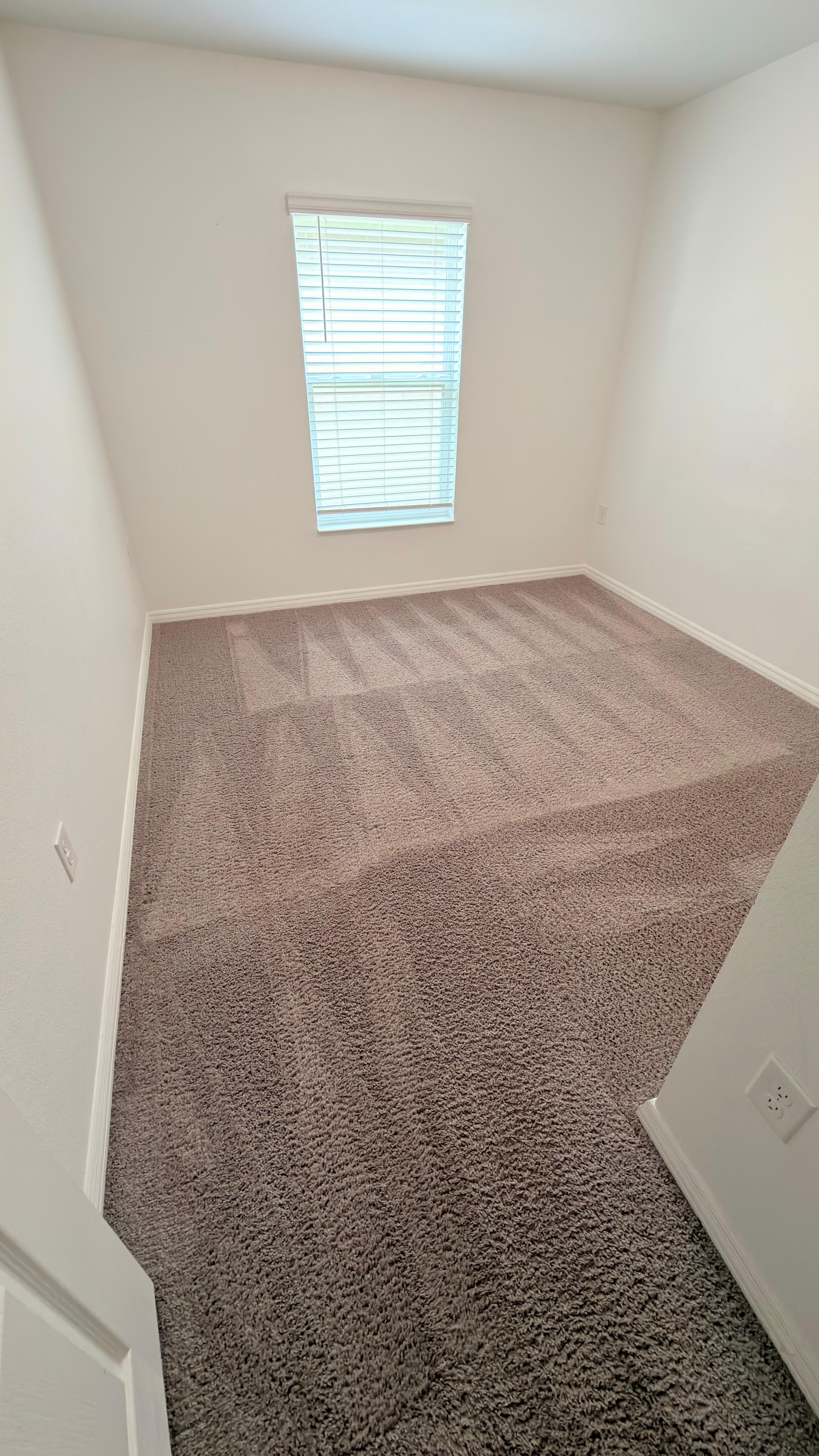 Move out Carpet Cleaning