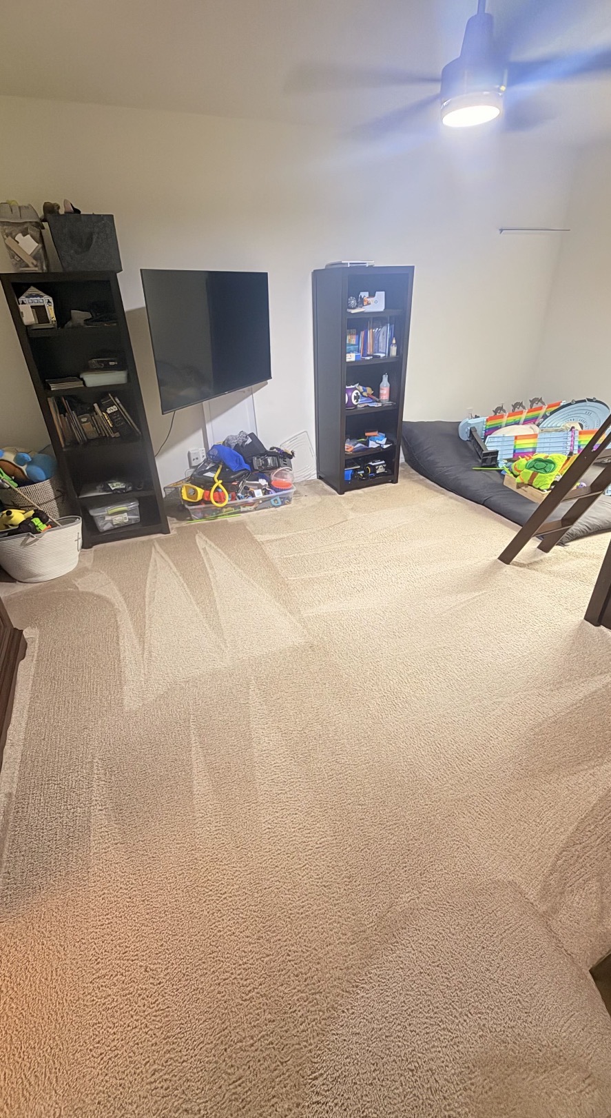 Carpet Cleaning with kids safe eco friendly solutions