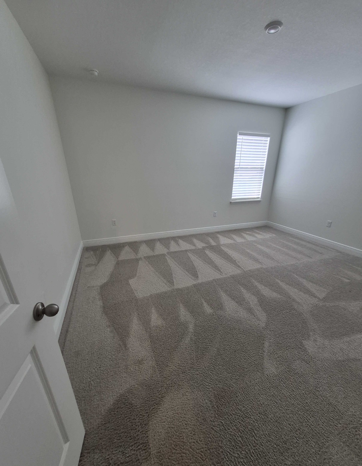 Move out Cleaning