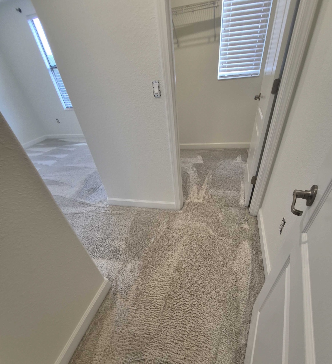 Move Out Carpet Cleaning for Property Management