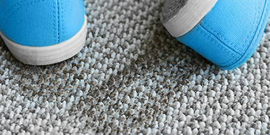 Carpet Cleaning