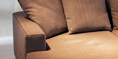 Upholstery Cleaning