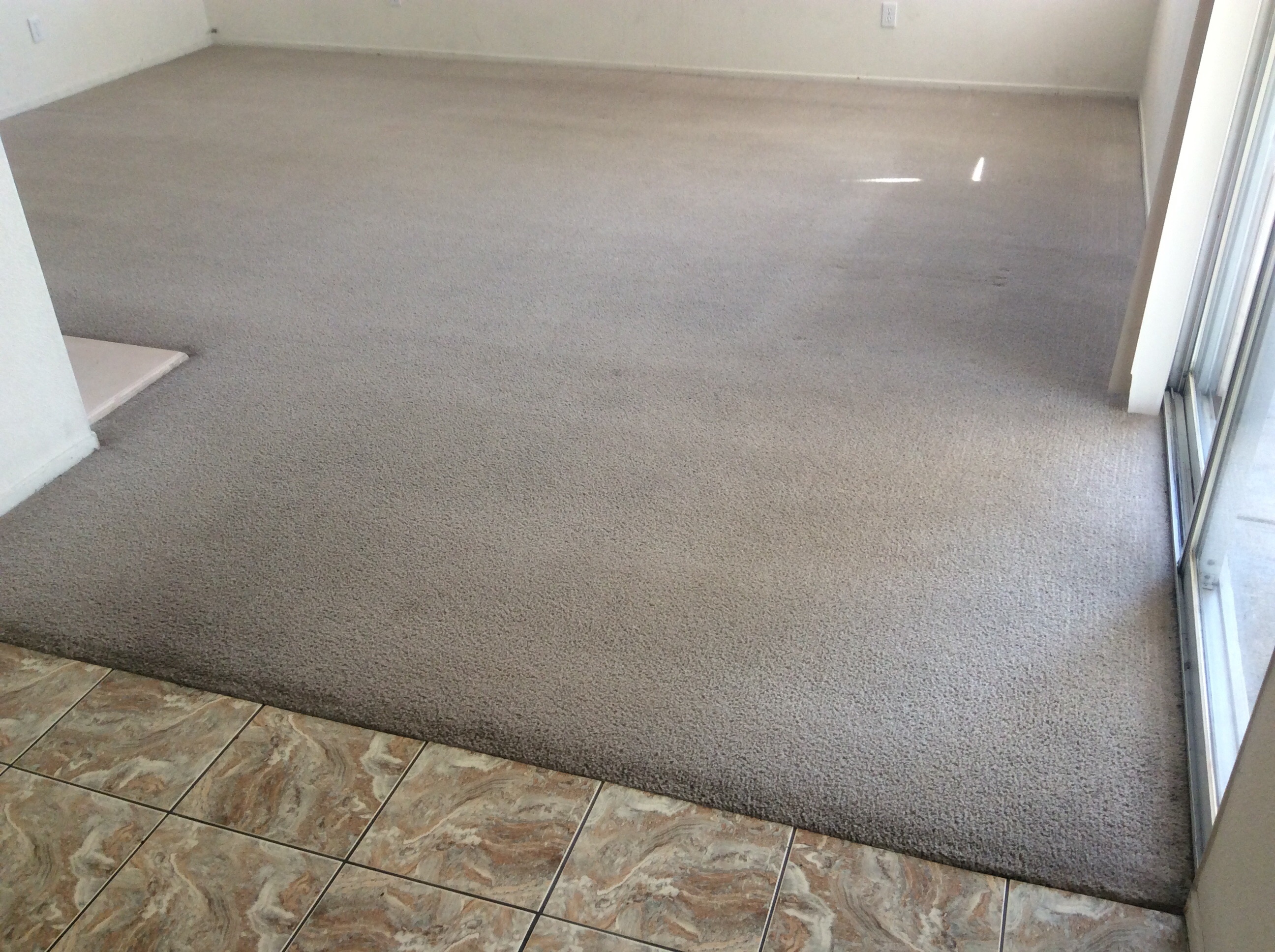 Carpet After Heaven's Best Carpet Cleaning