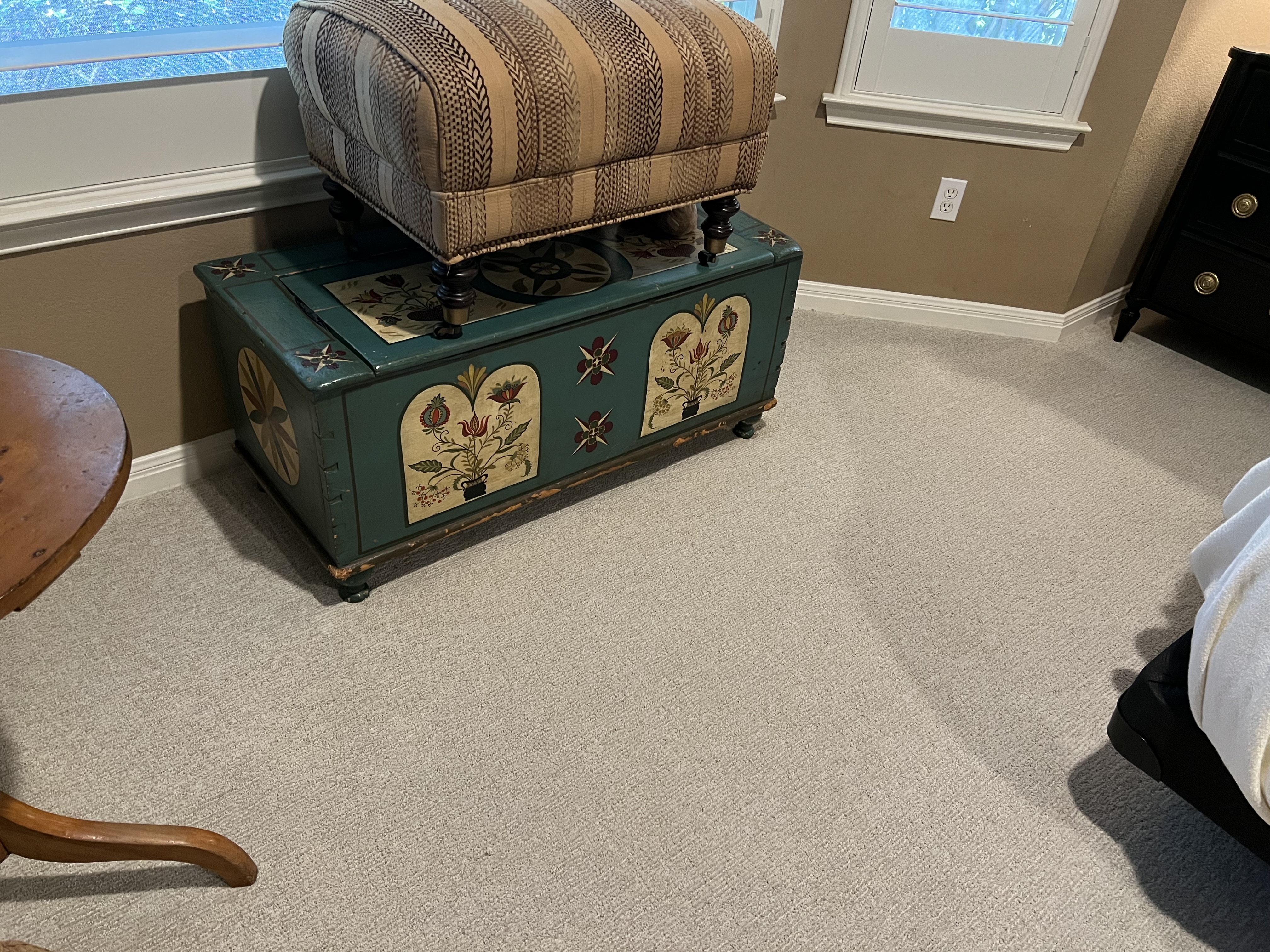Cat Pet Vomit Clean Up in Sun city Georgetown TX