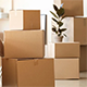 Packing Services